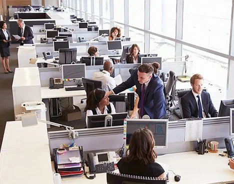 Business office with employees working at desks with computers in an open-plan workspace.