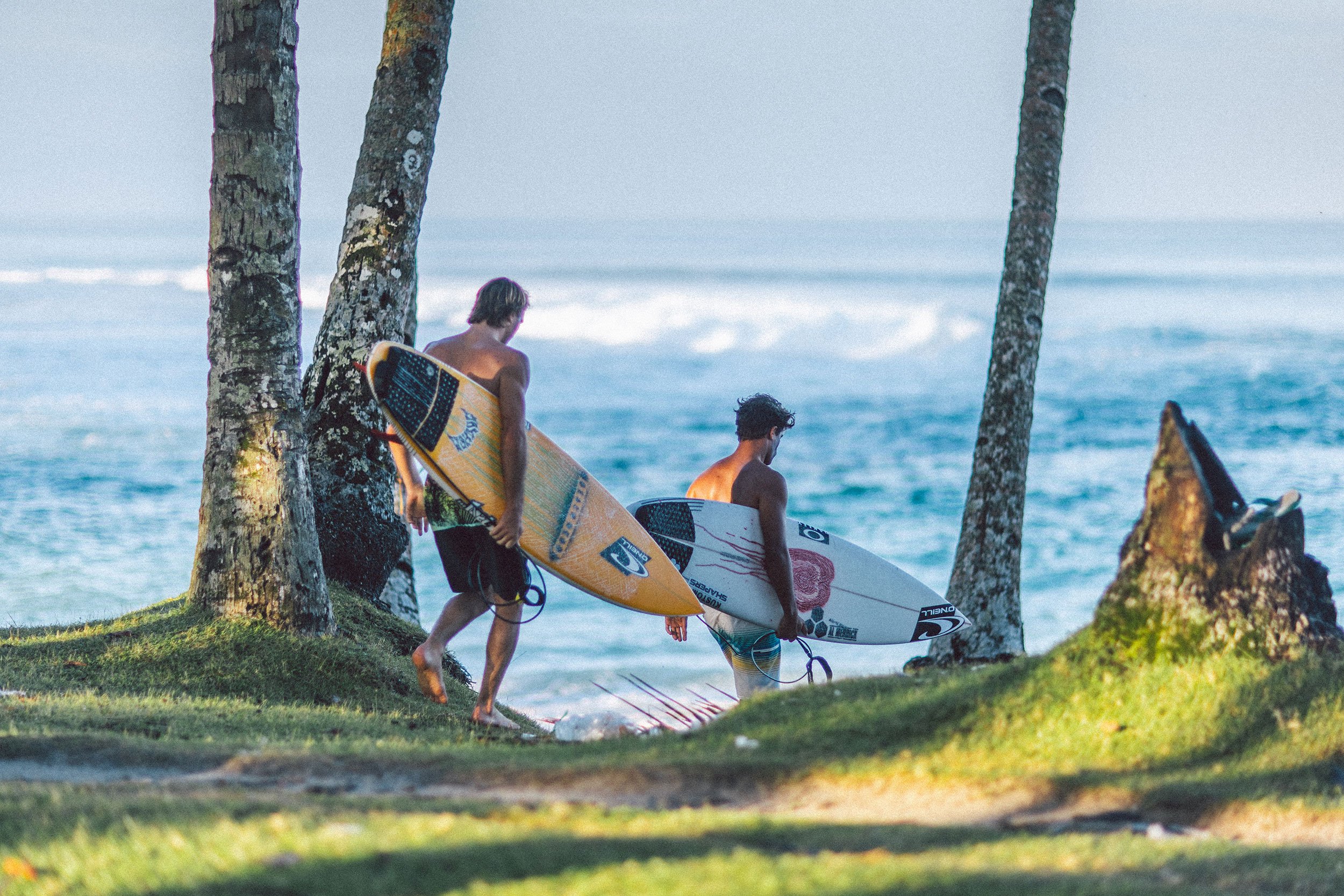 Two men with surfboards walking towards the ocean on a grassy beach, surrounded by palm trees.