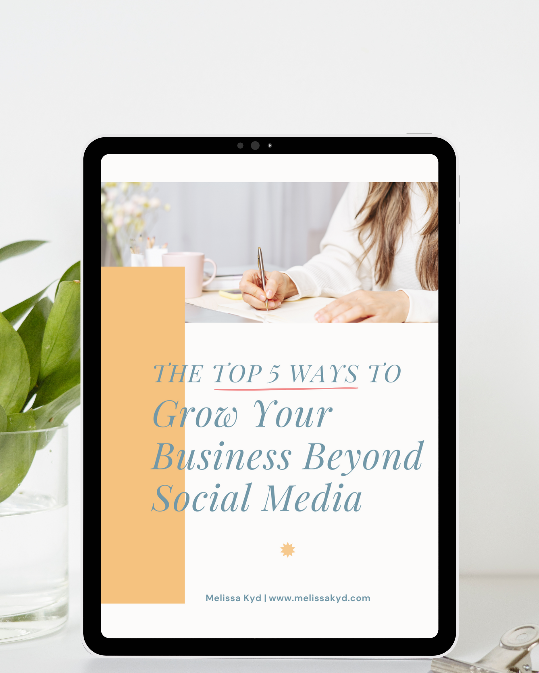 Guide titled "The Top 5 Ways to Grow Your Business Beyond Social Media", displayed in an iPad.
