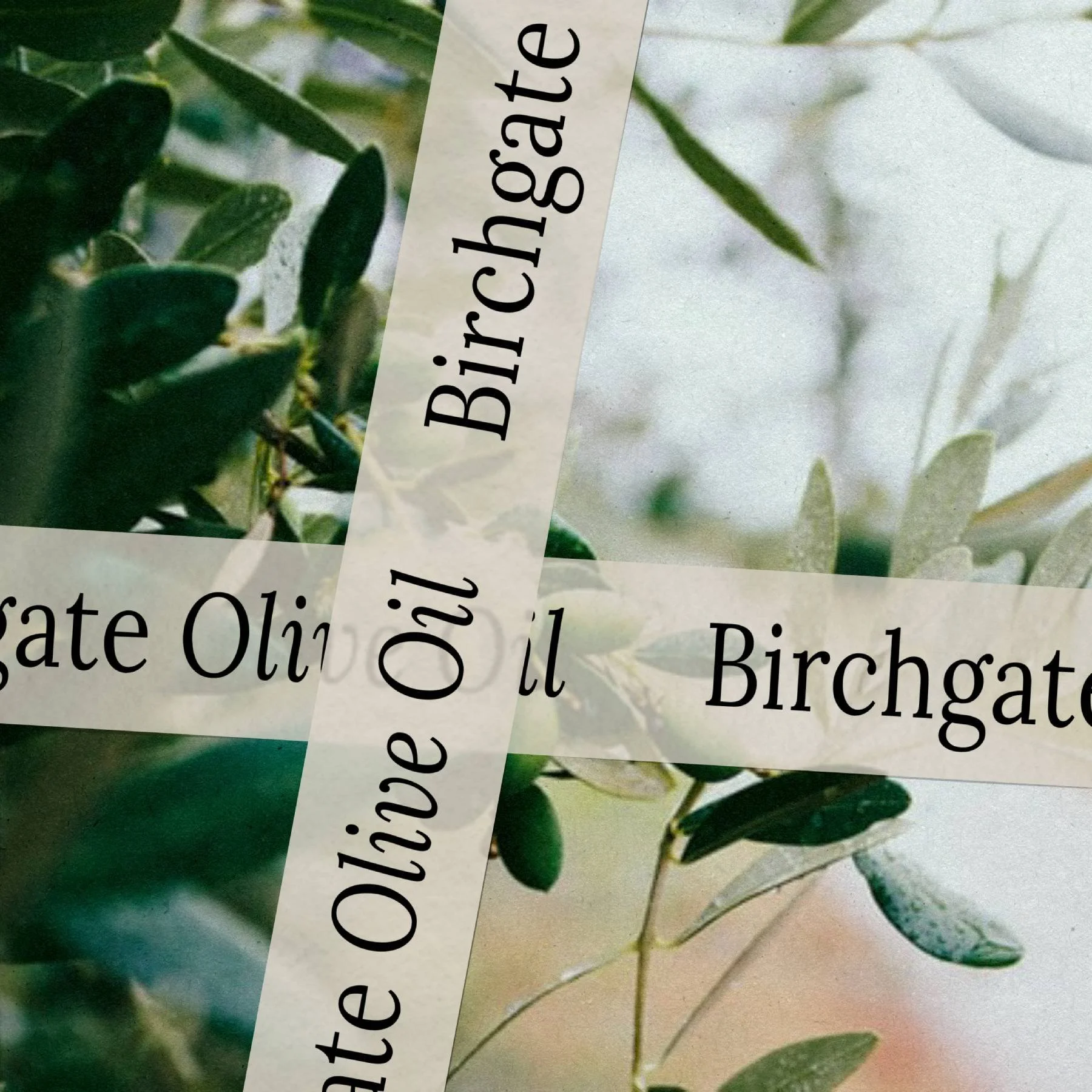 Birchgate Olive Oil Mockup 3.jpg