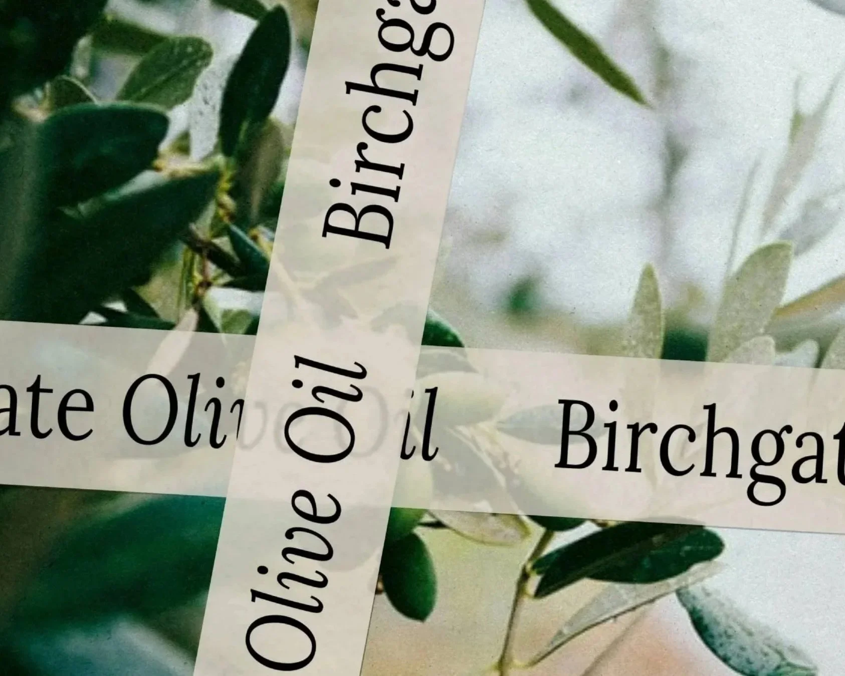 Birchgate%252BOlive%252BOil%252BMockup%252B3.jpg