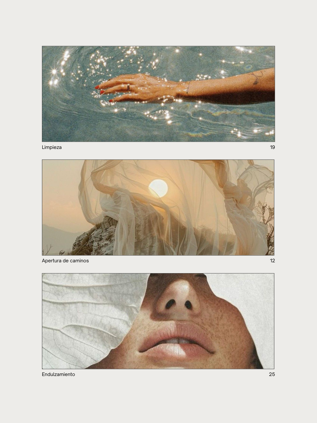 Documento con todos los ingredientes (2).png