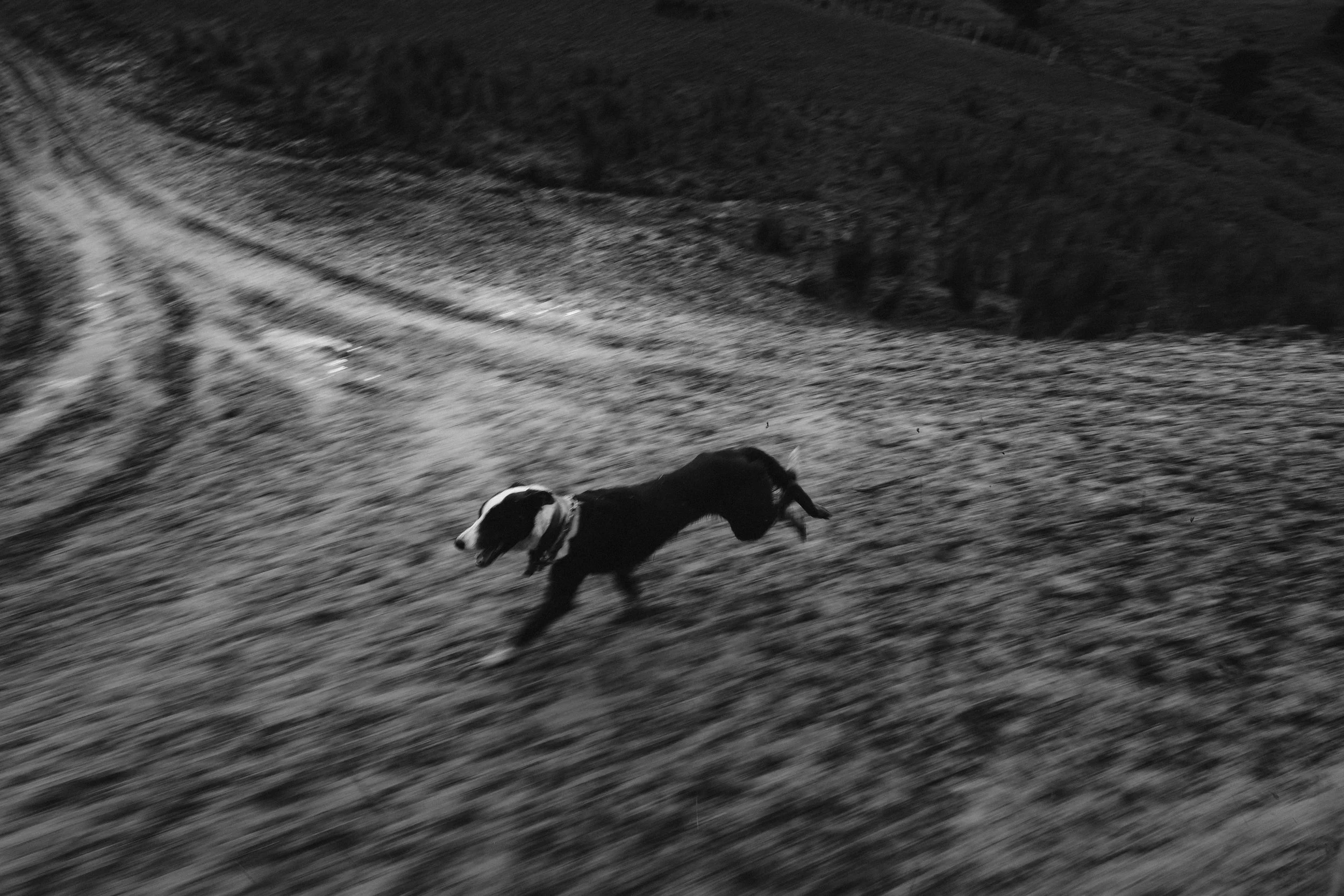 Hannah Vallence (75 of 136).jpg