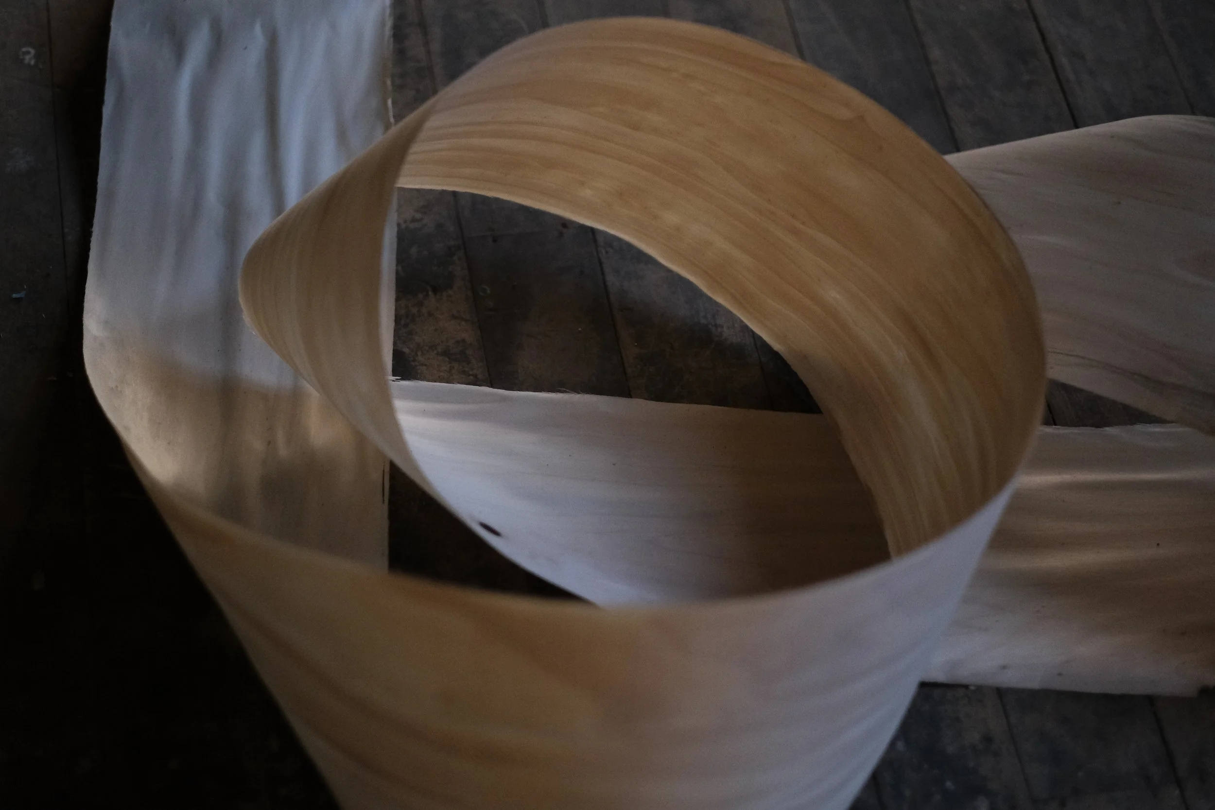 Chris Connolly-Taylor (11 of 34).jpg