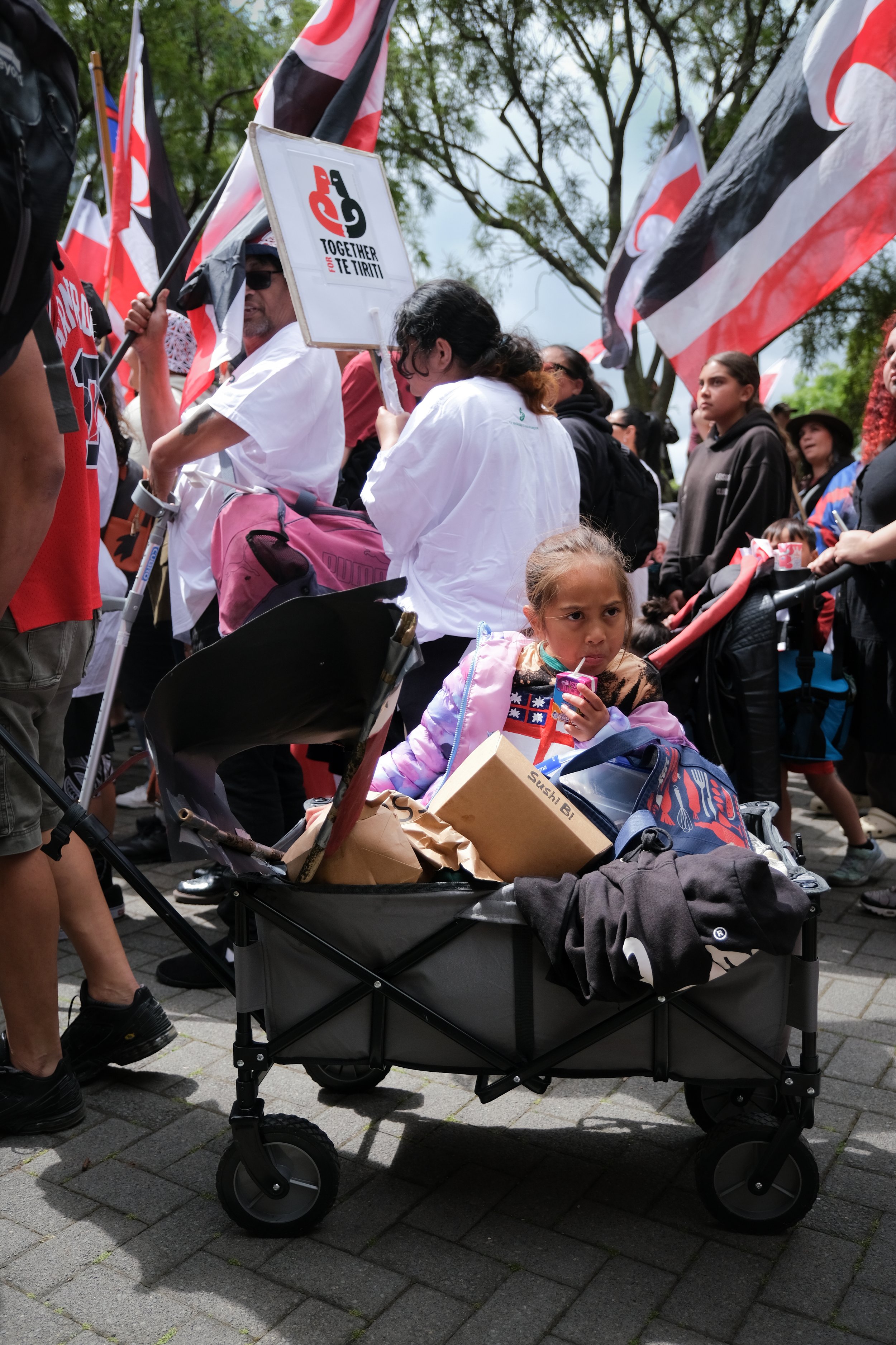 Toitu Te Tiriti (2 of 4).jpg