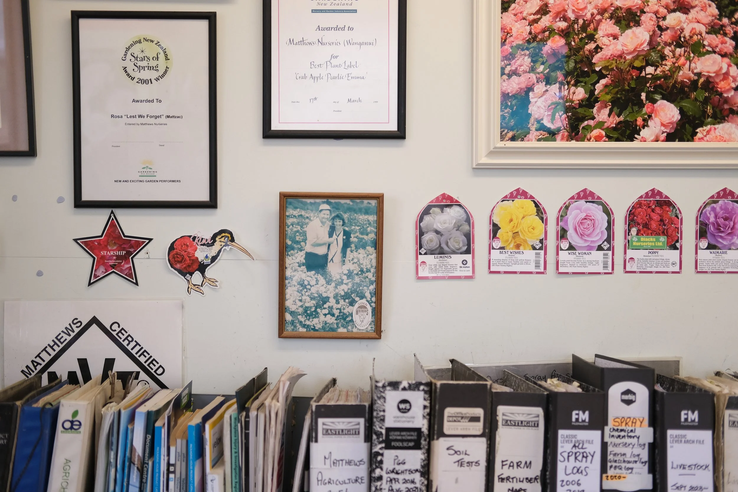 Matthews Roses (12 of 102).jpg