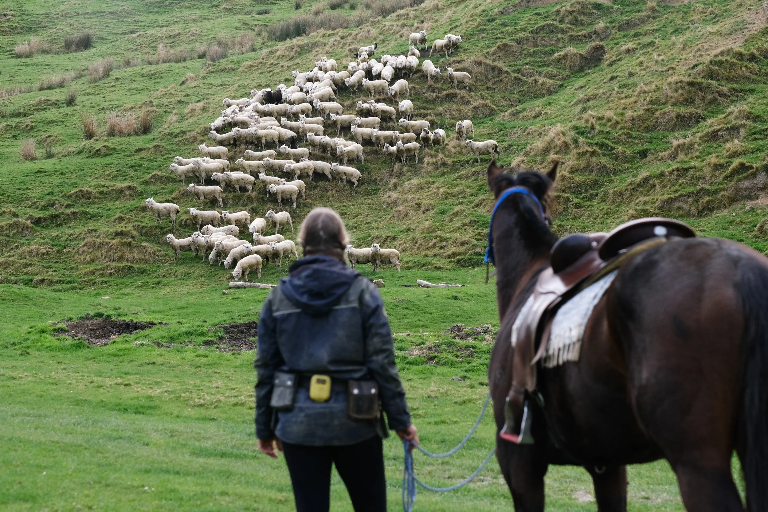 Izzie Corke (78 of 138).jpg