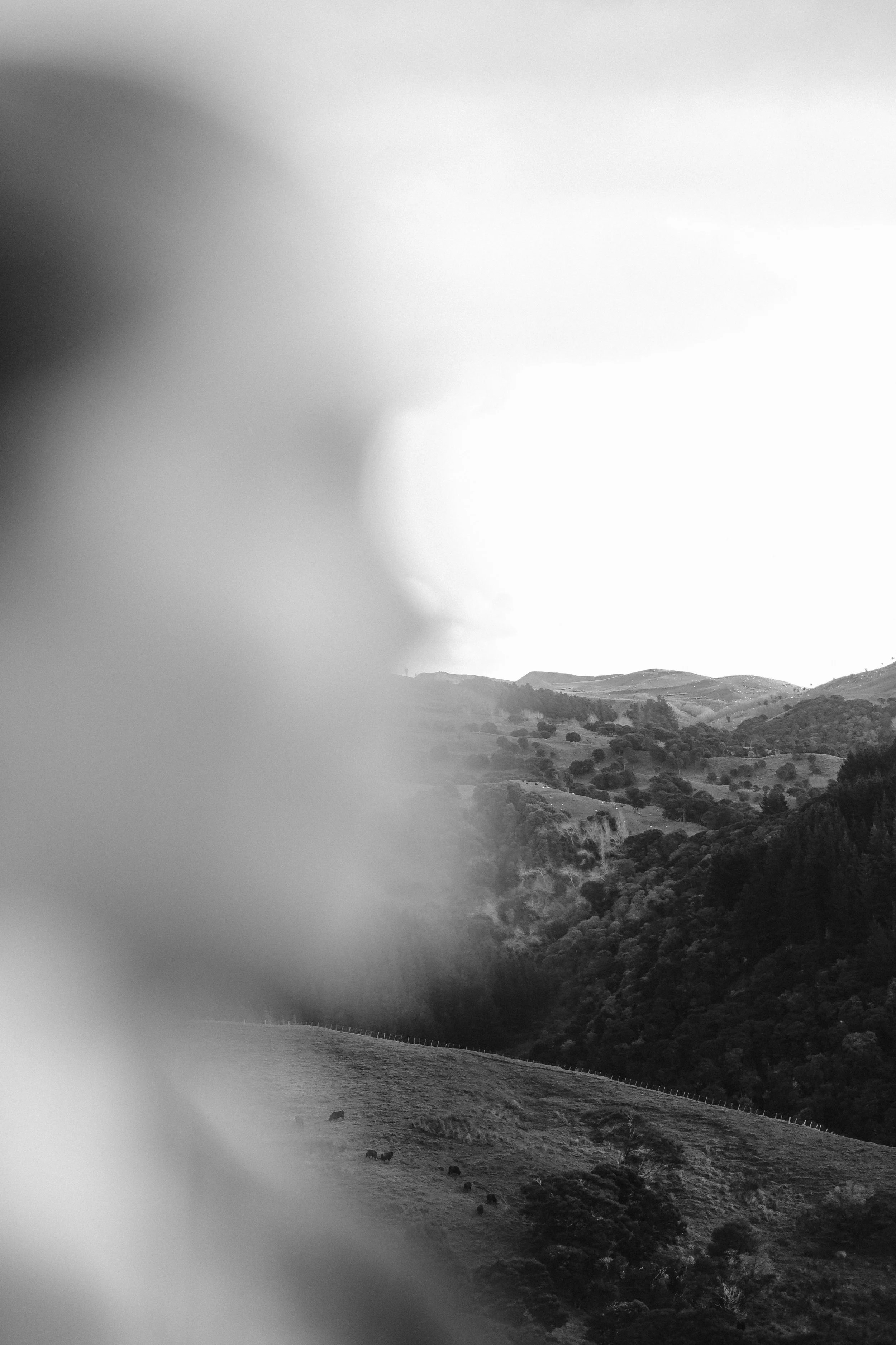 Hannah Vallence (58 of 136).jpg