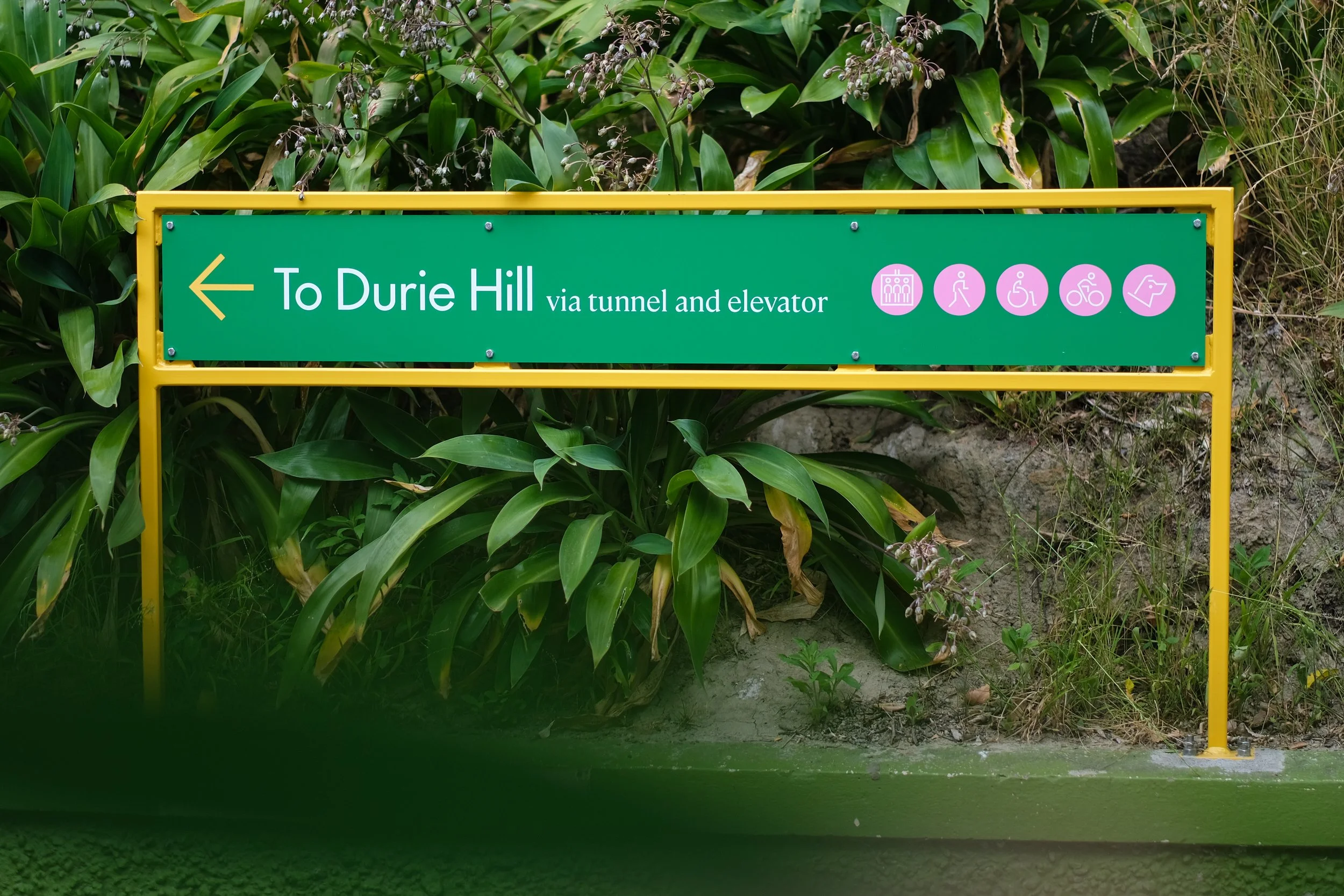 D.H.E (44 of 146).jpg