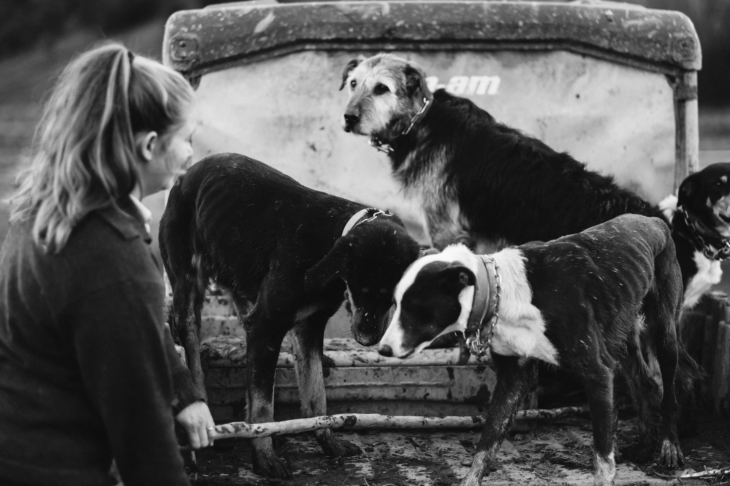 Hannah Vallence (129 of 136).jpg