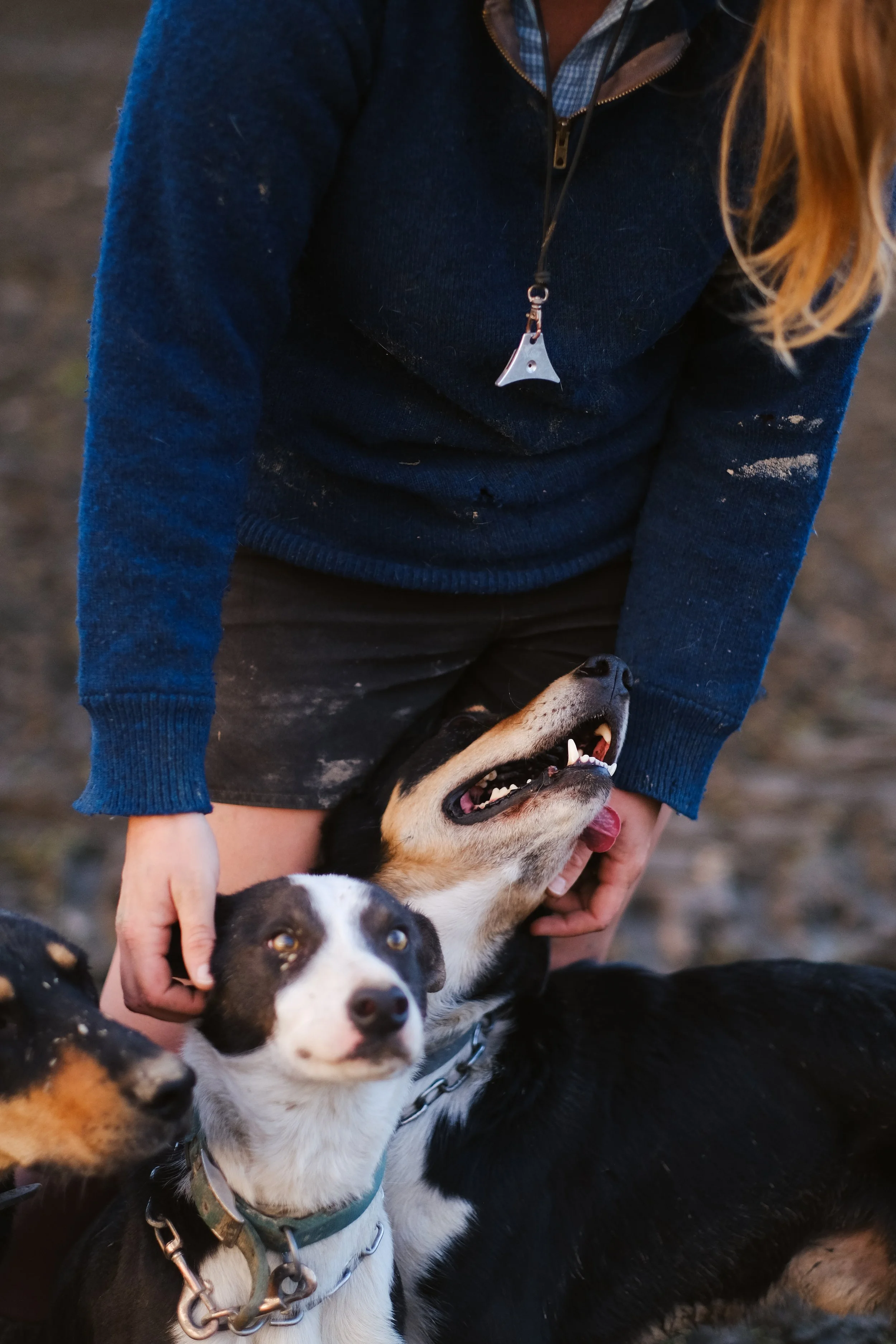 Hannah Vallence (126 of 136).jpg