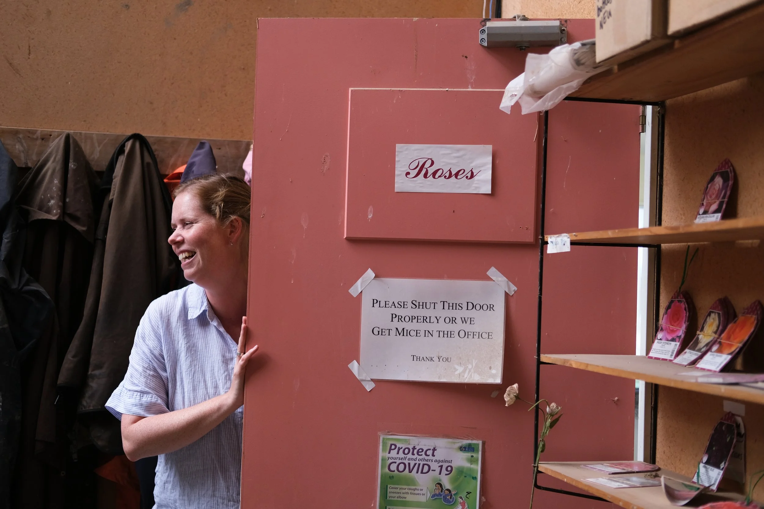 Matthews Roses (17 of 102).jpg