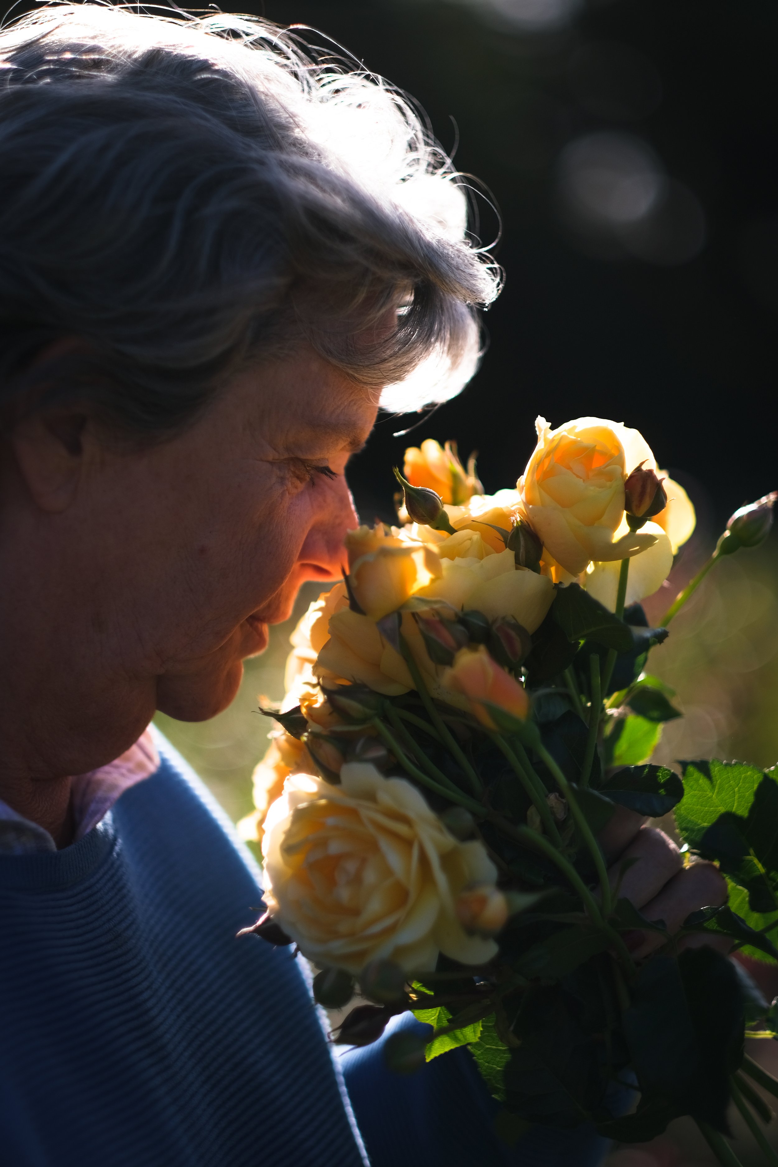 Matthews Roses (45 of 102).jpg