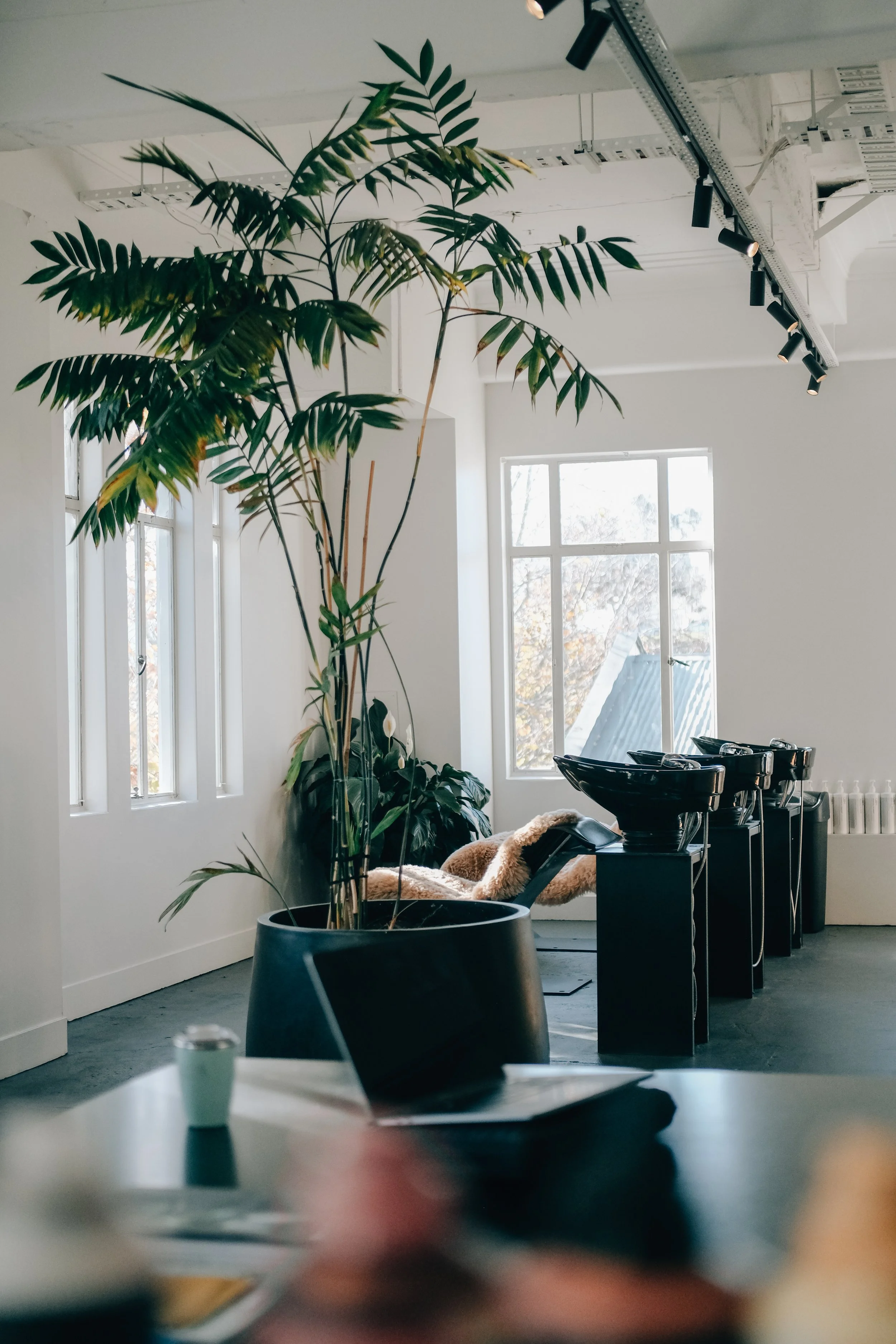 The Studio First Shoot (70 of 77).jpg