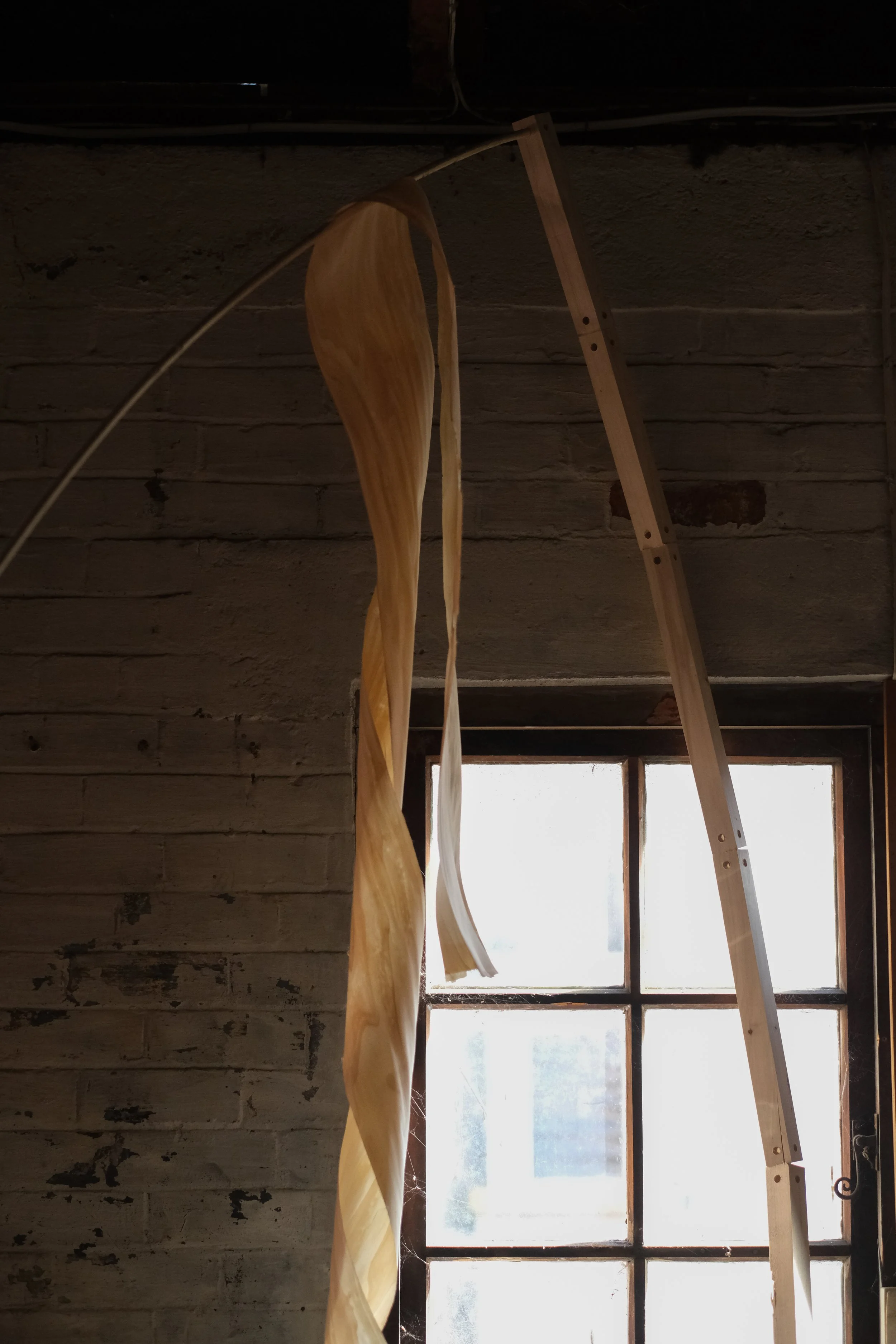 Chris Connolly-Taylor (26 of 34).jpg