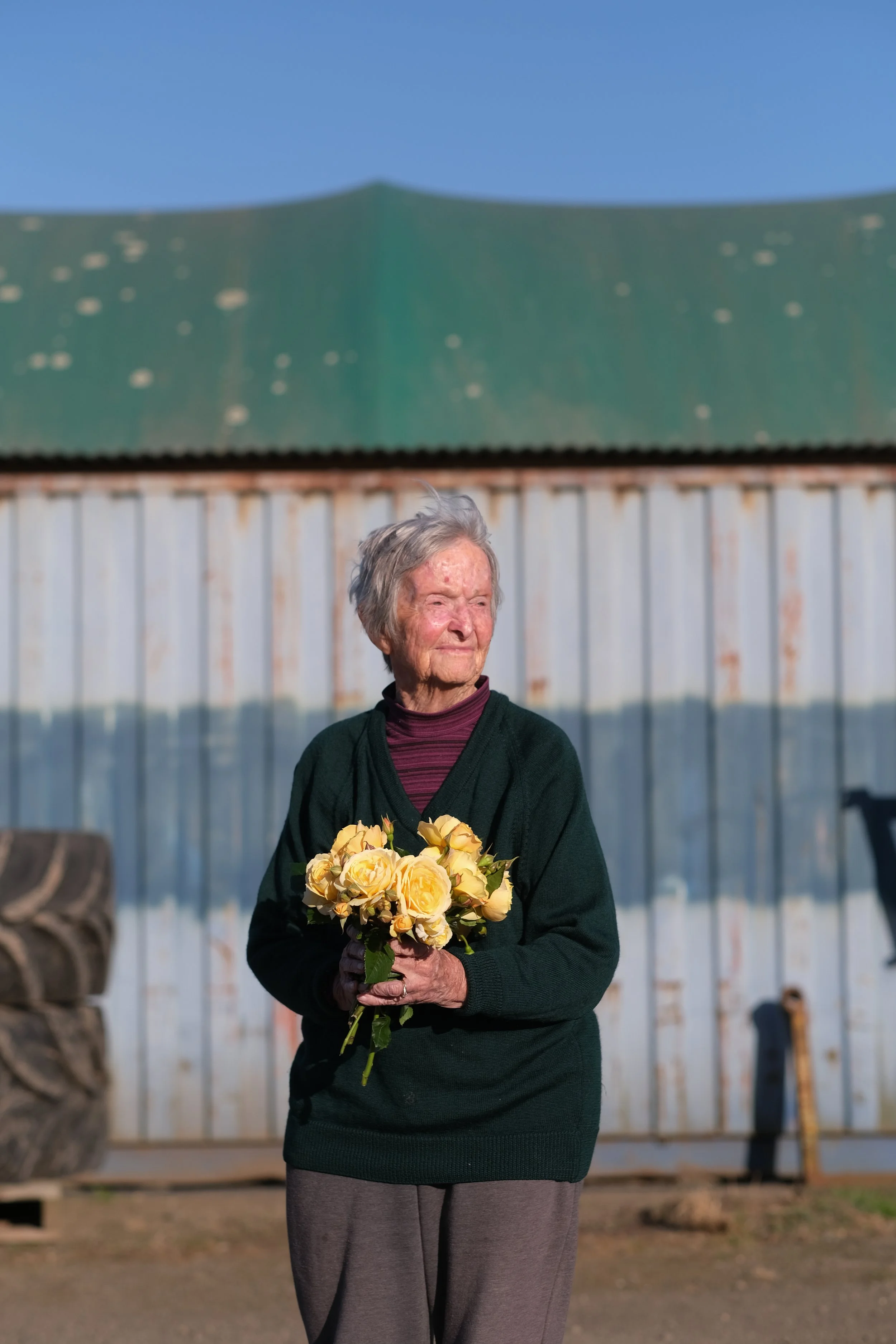 Matthews Roses (77 of 102).jpg