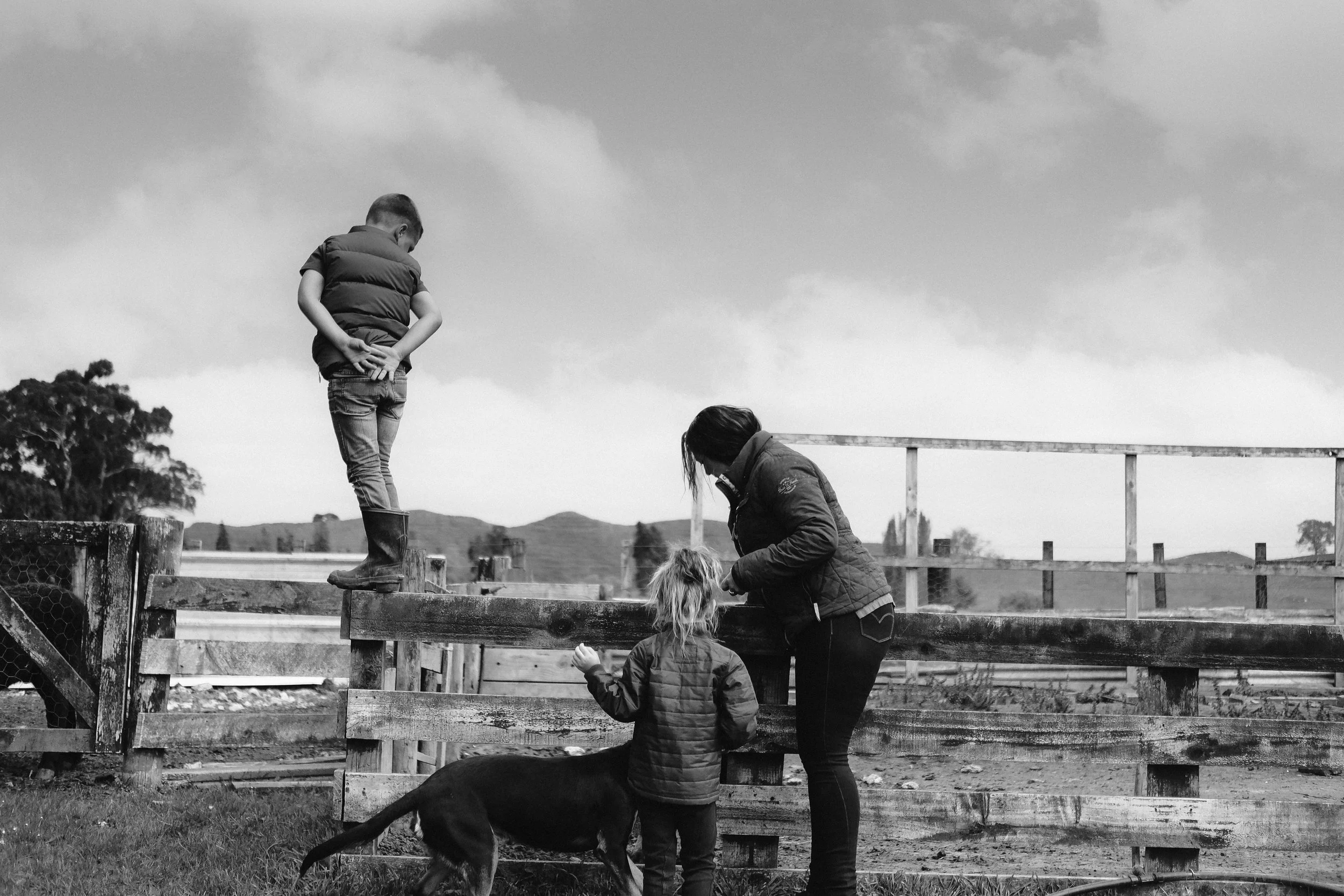 DSCF2661[1] copy.jpg