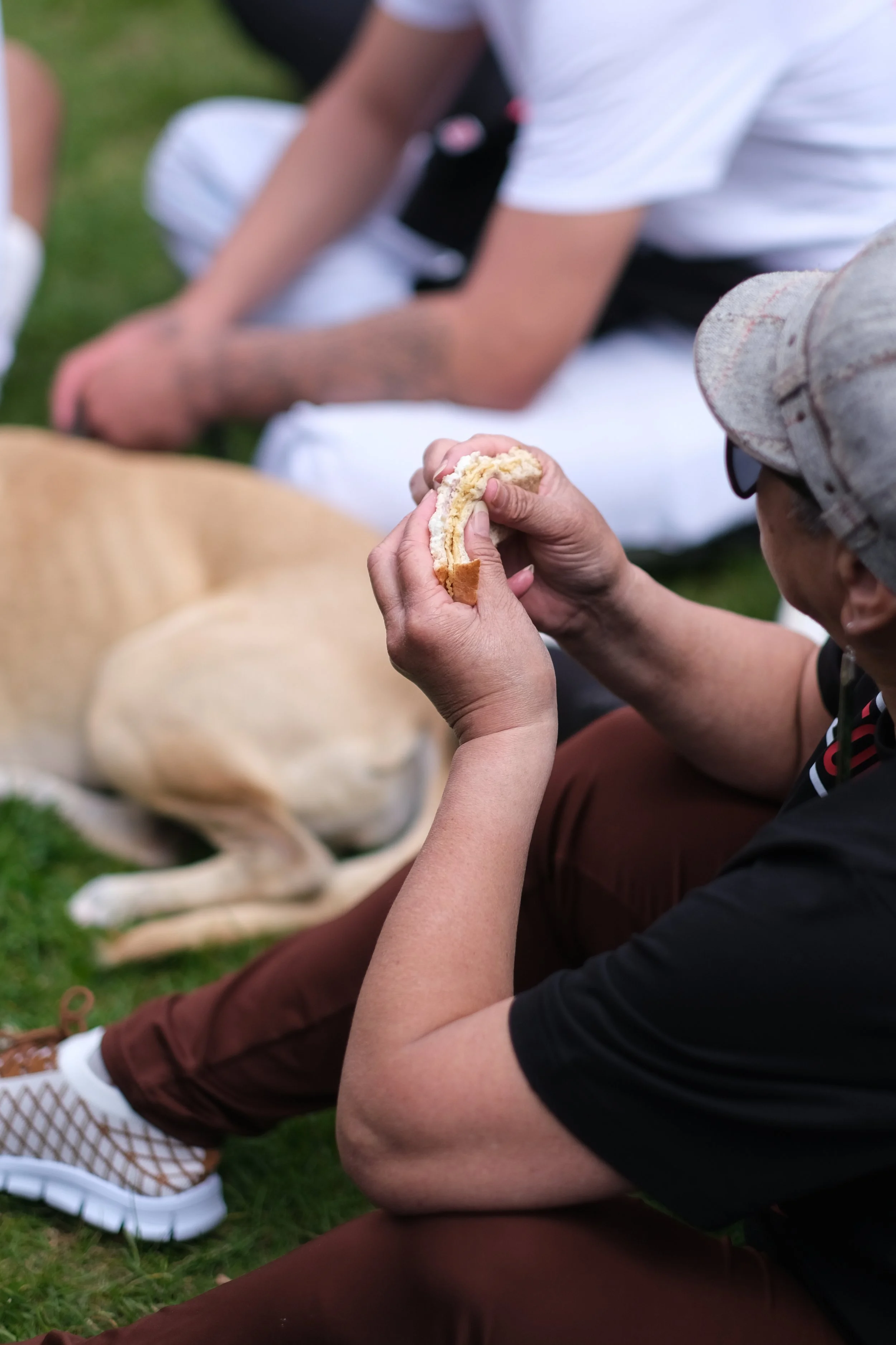 Toitu (13 of 16).jpg