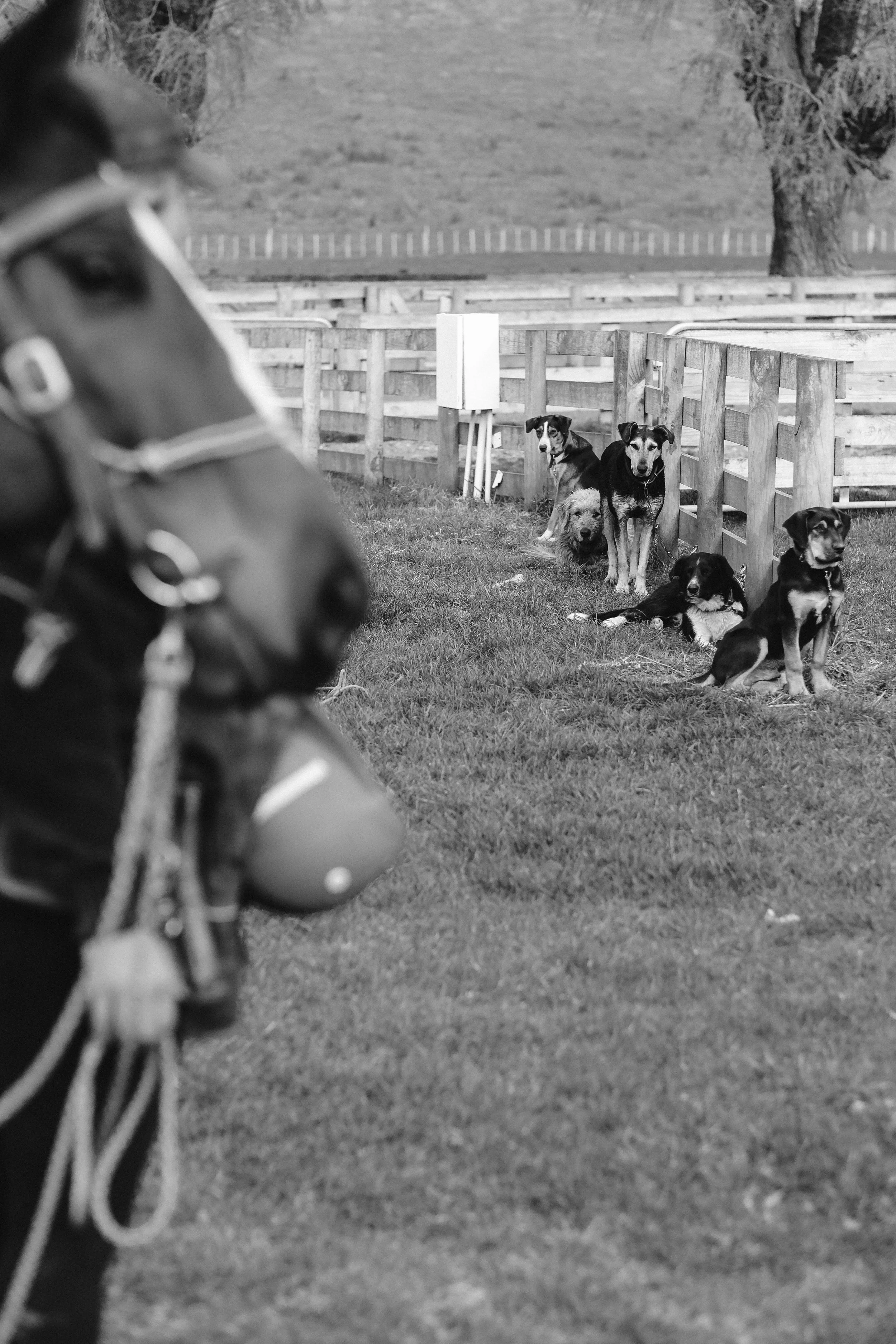 Izzie Corke (32 of 138).jpg