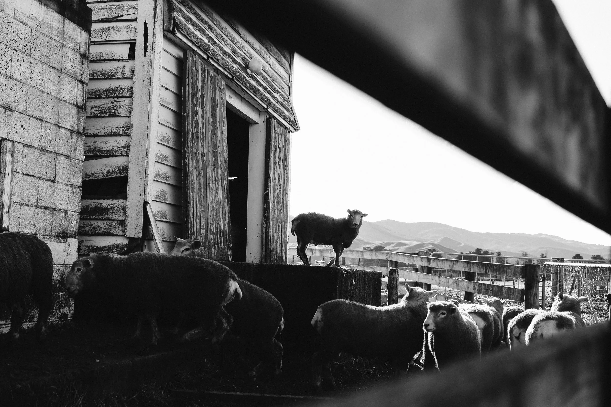 Hannah Vallence (8 of 136).jpg