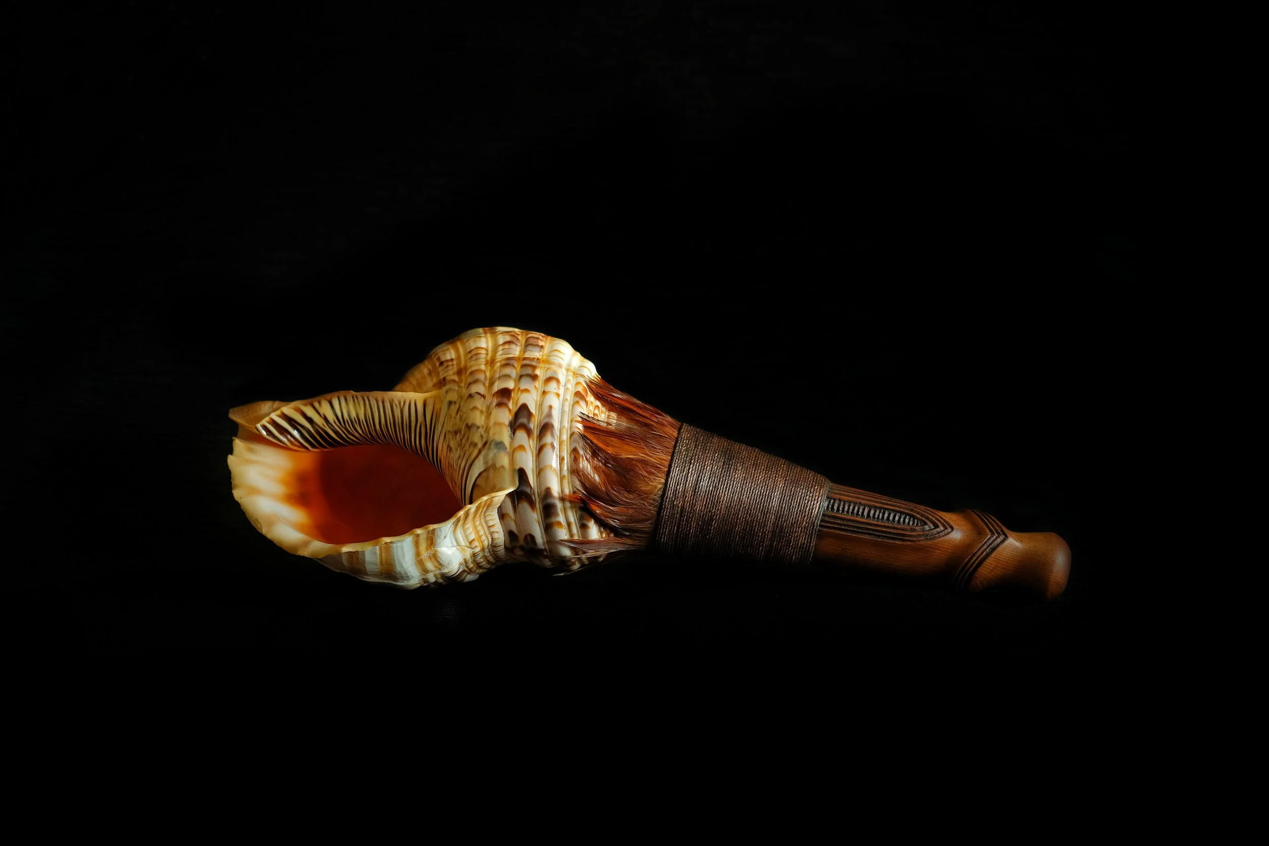 2021_0207_15101500-01 (1).jpeg