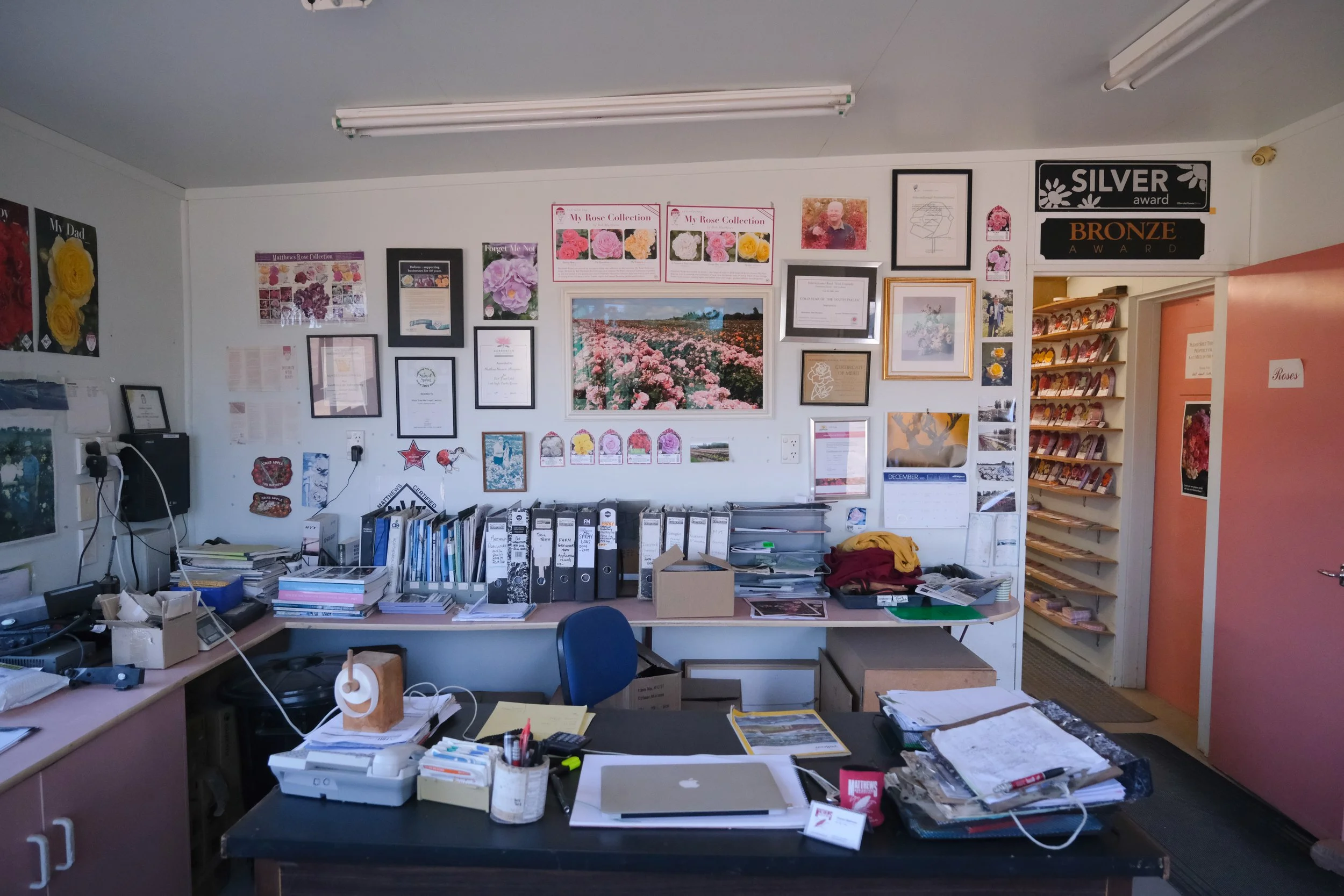 Matthews Roses (35 of 102).jpg