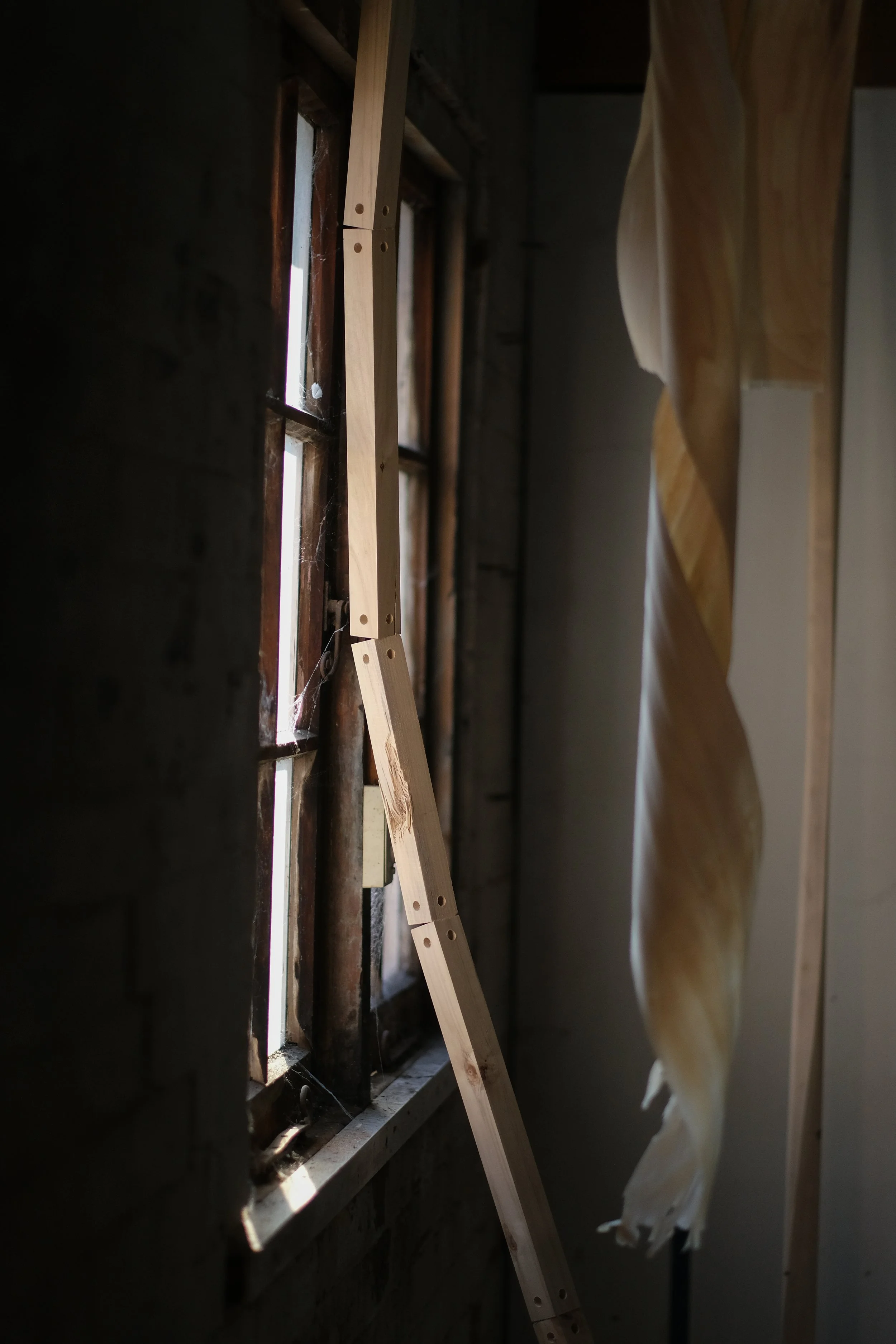 Chris Connolly-Taylor (3 of 34).jpg