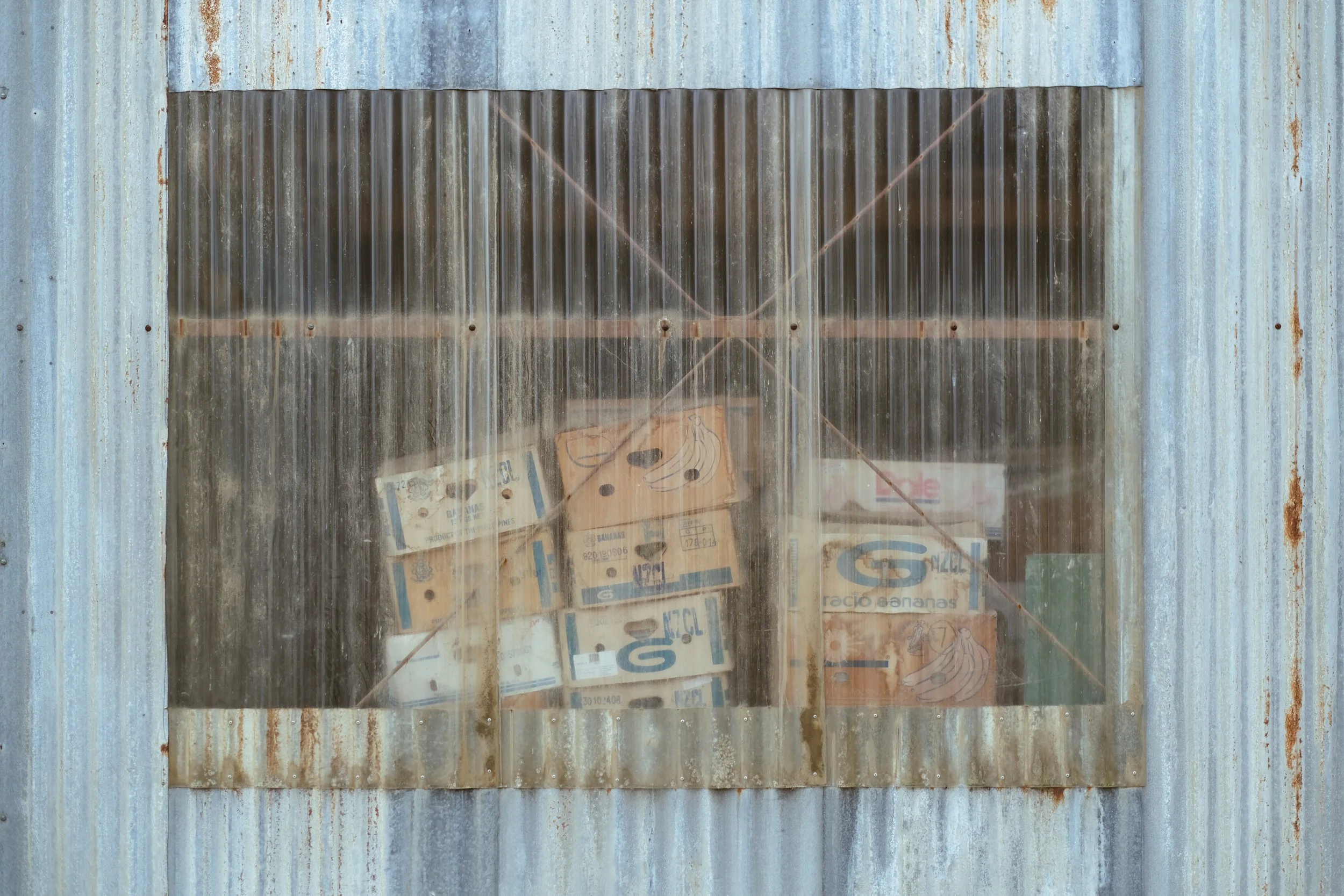 Matthews Roses (2 of 102).jpg