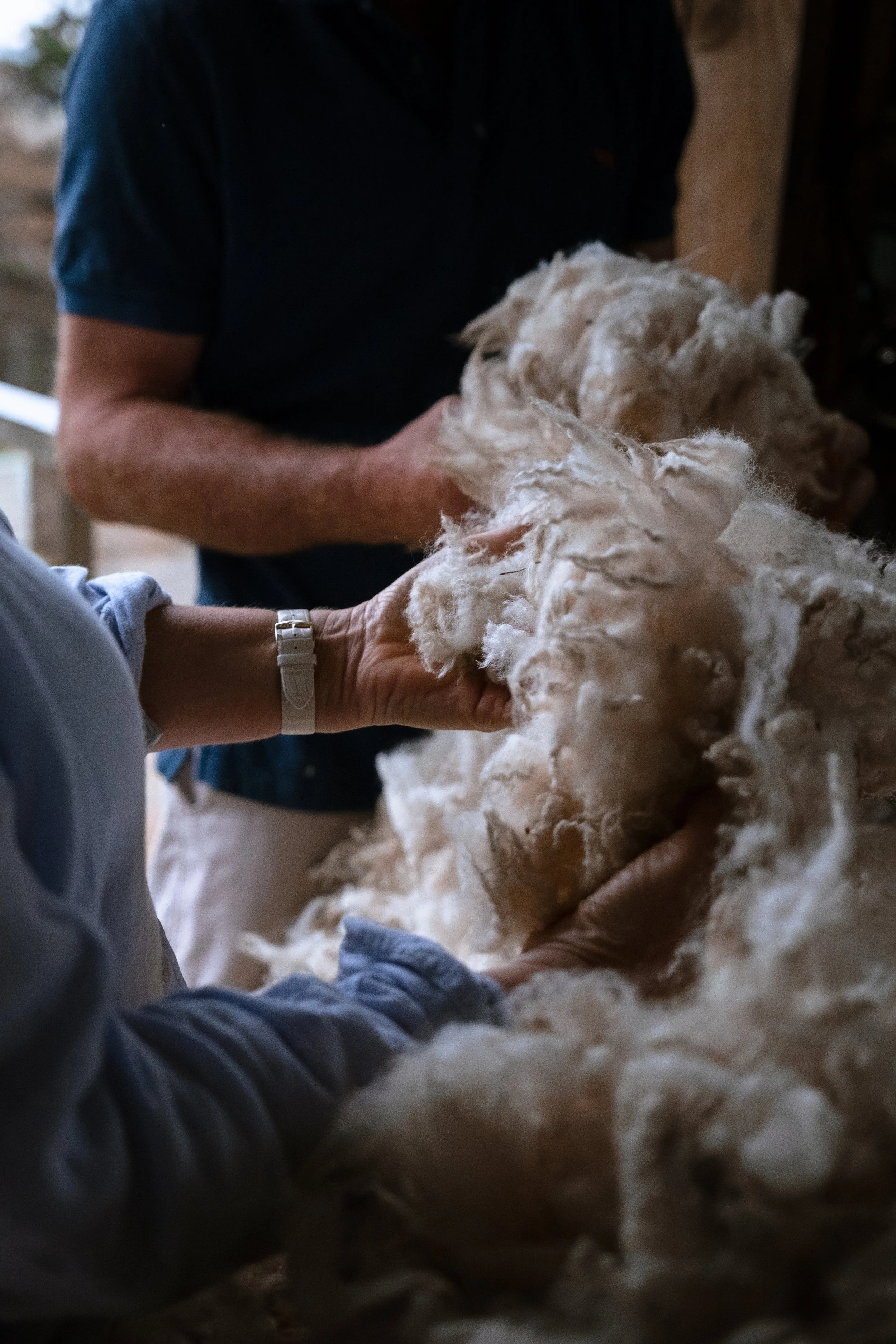 Foxtrot Home (289 of 670).jpg