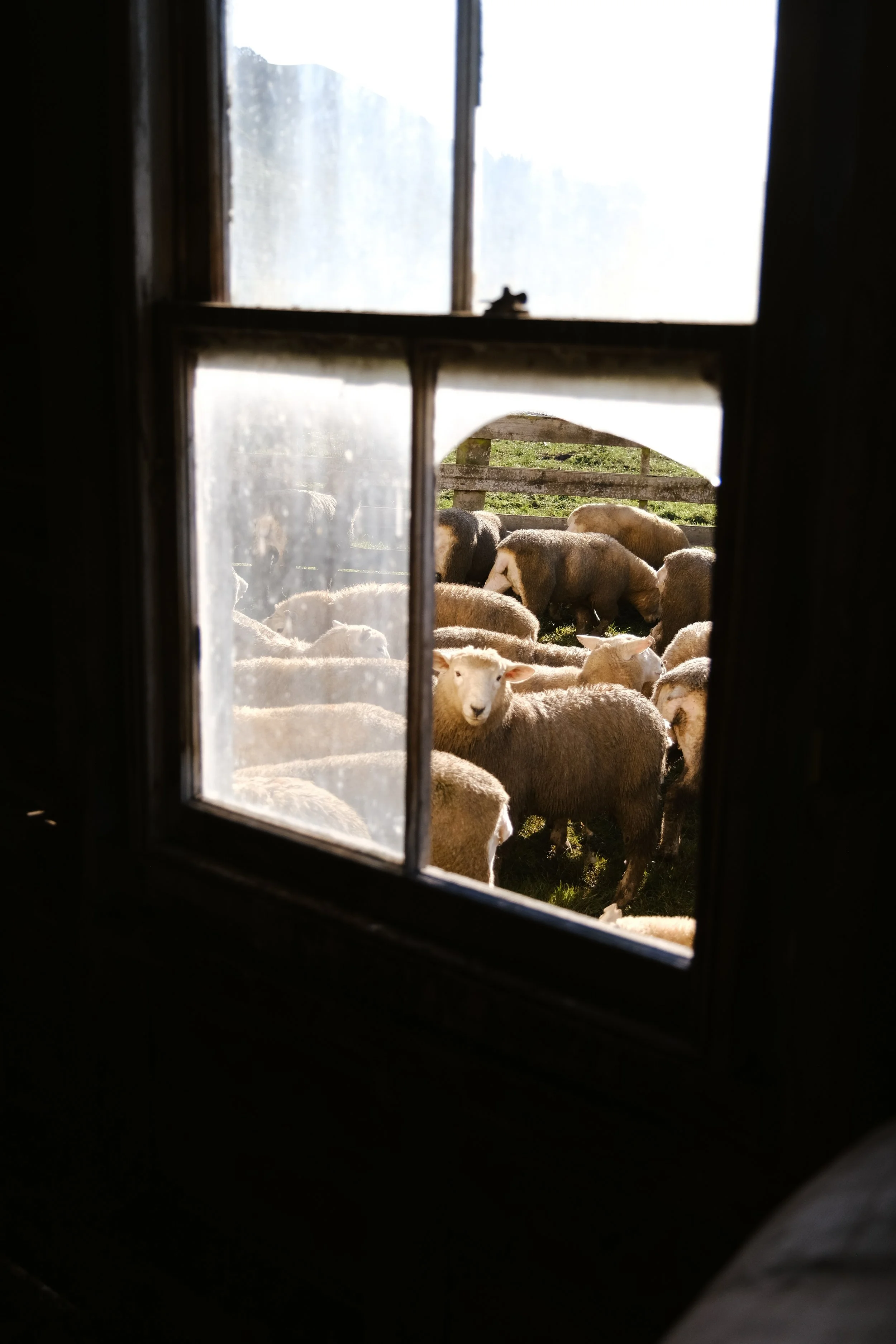 Hannah Vallence (9 of 136).jpg