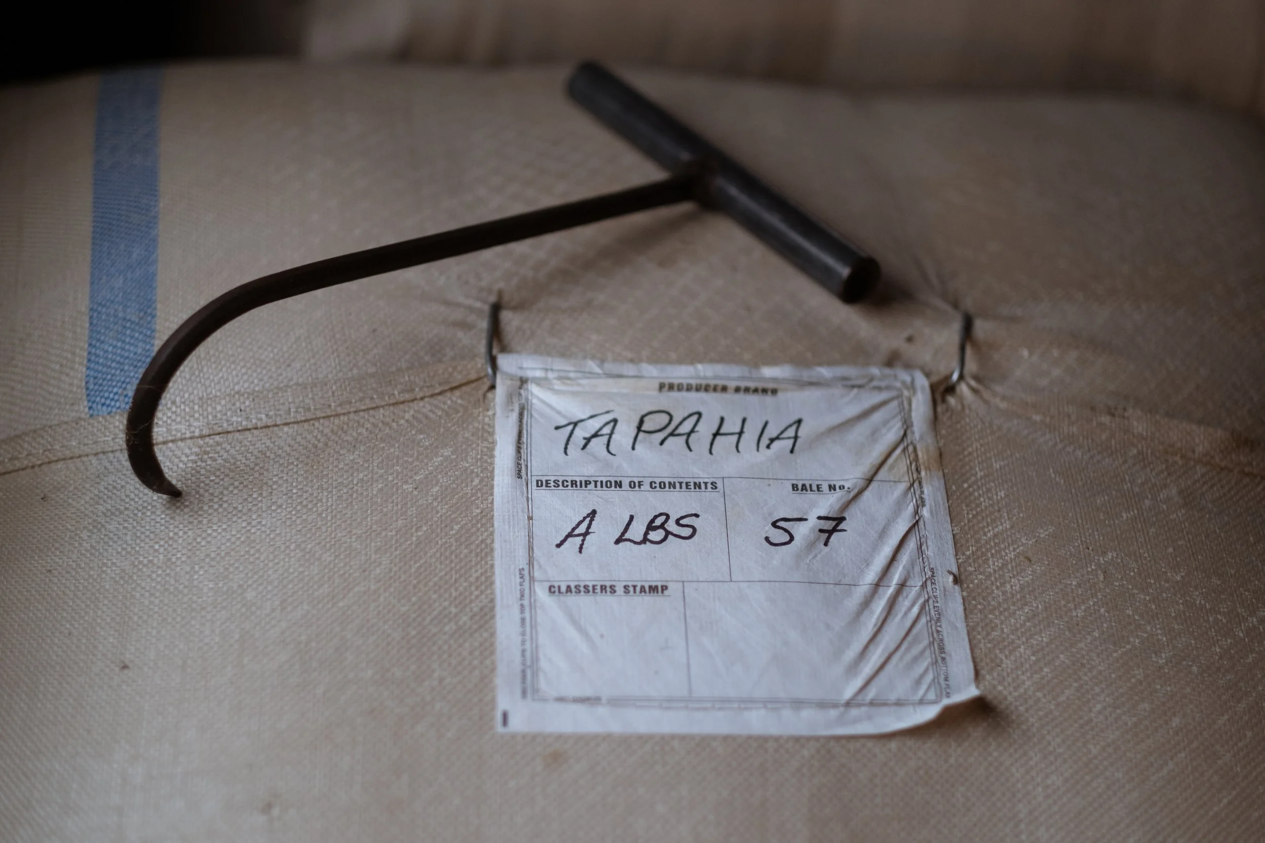 Foxtrot Home (531 of 670).jpg