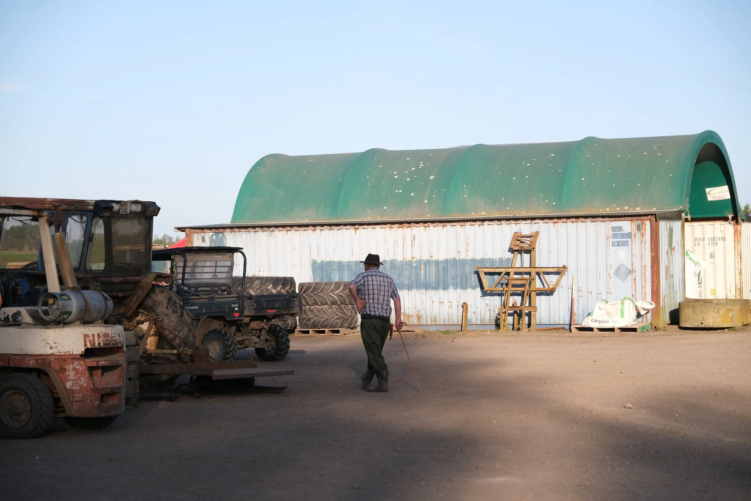 Matthews Roses (96 of 102).jpg