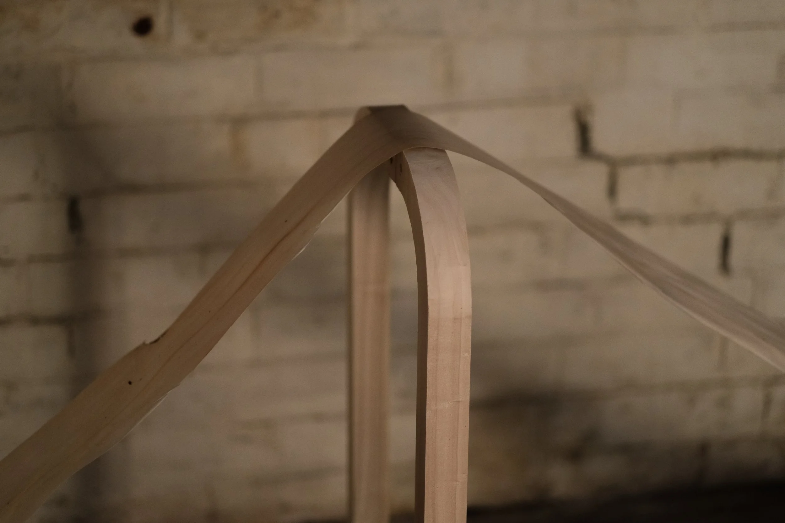 Chris Connolly-Taylor (16 of 34).jpg