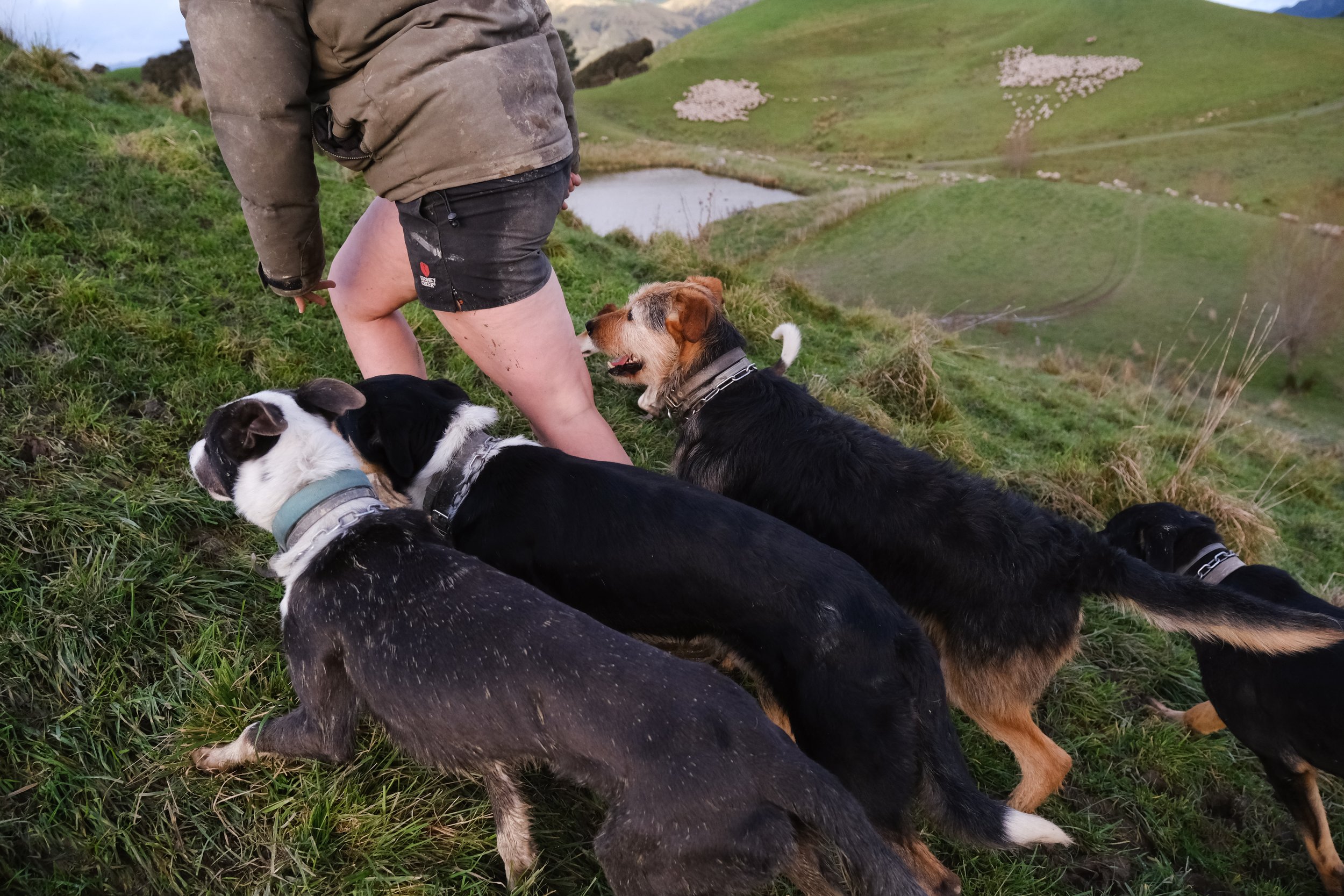 Hannah Vallence (81 of 136).jpg