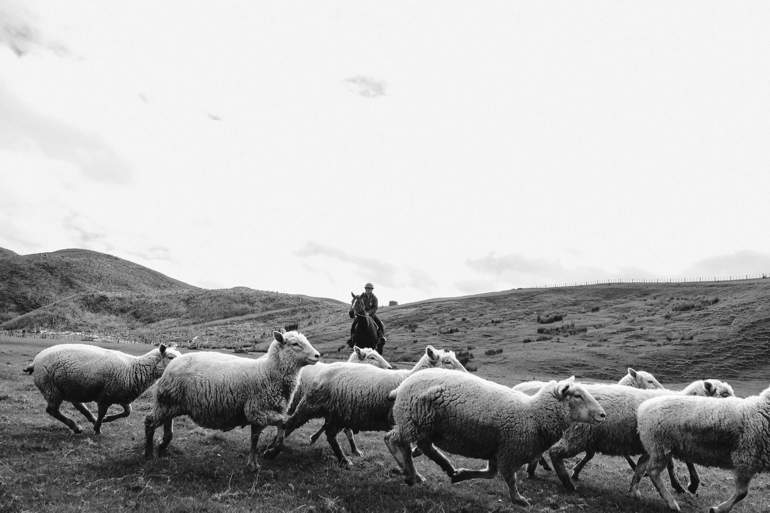 Izzie Corke (72 of 138).jpg