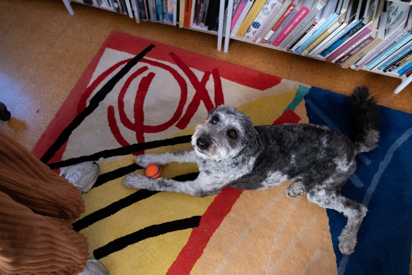 Andrea (12 of 24).jpg