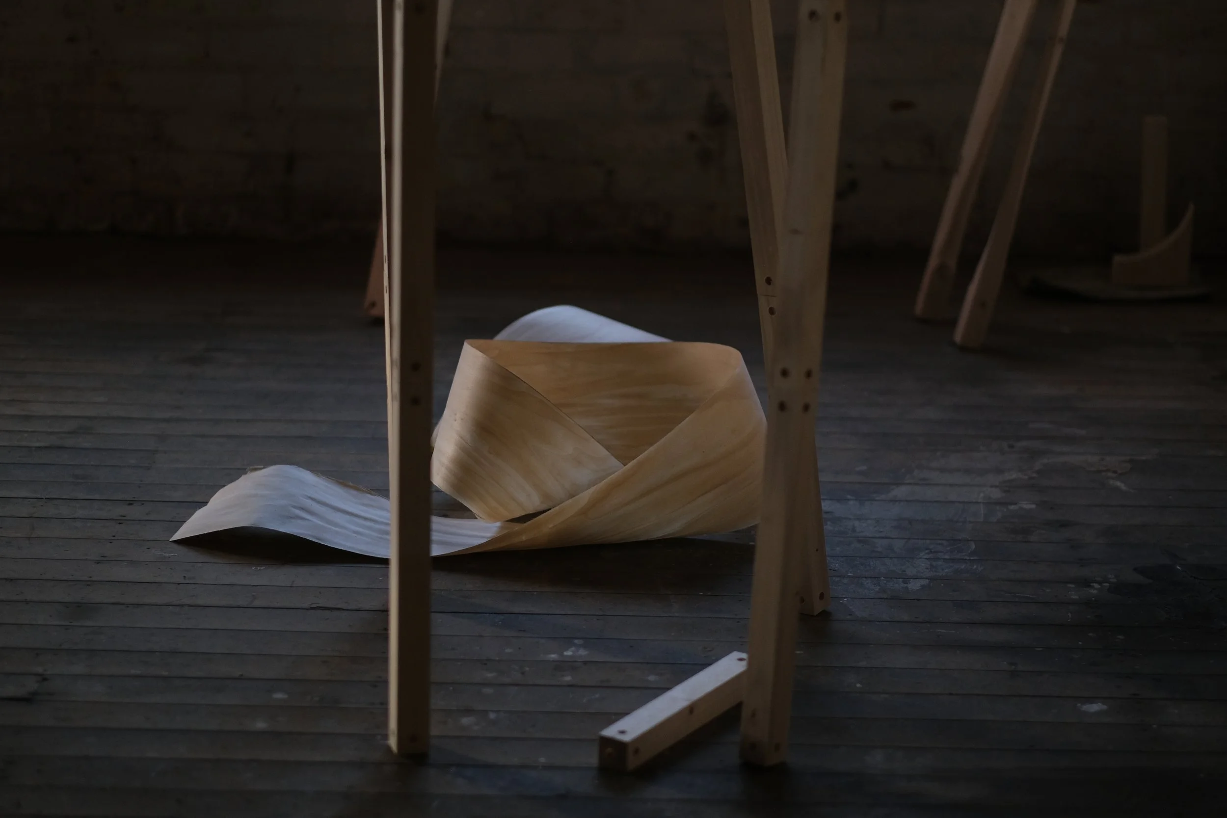 Chris Connolly-Taylor (15 of 34).jpg