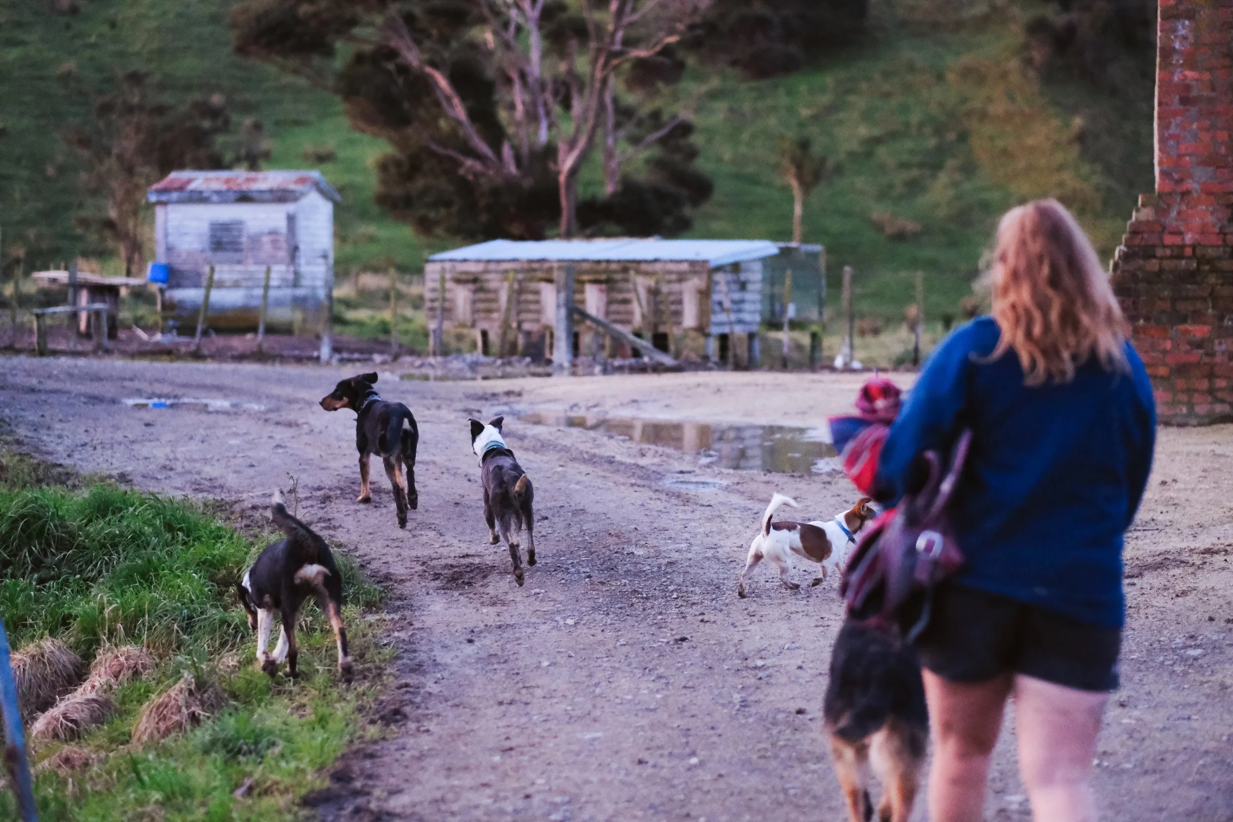 Hannah Vallence (133 of 136).jpg