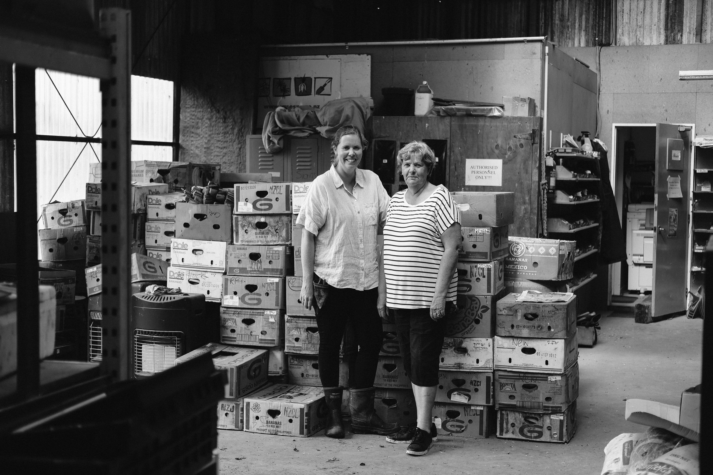 Matthews Roses (19 of 102).jpg