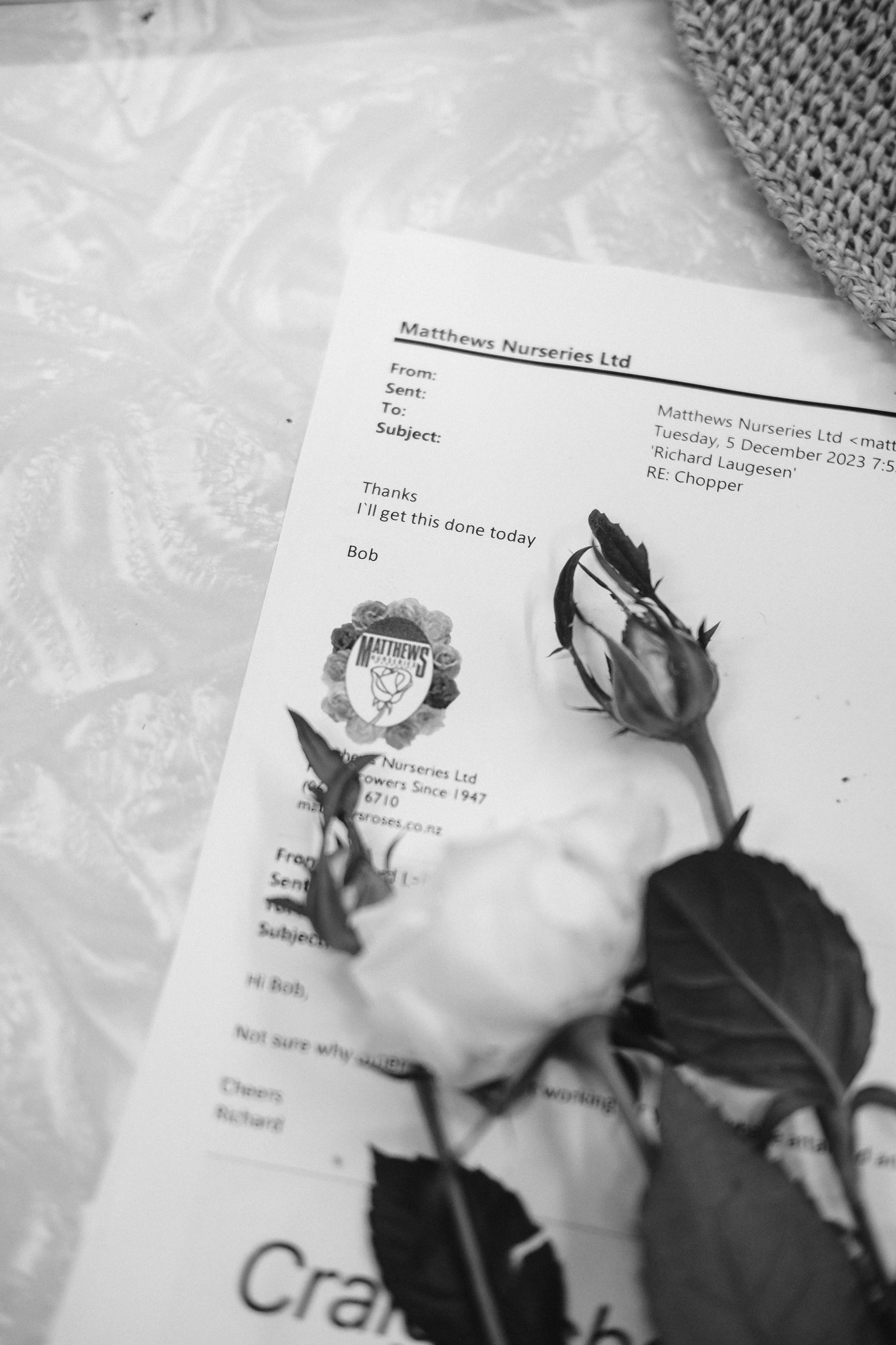 Matthews Roses (14 of 102).jpg