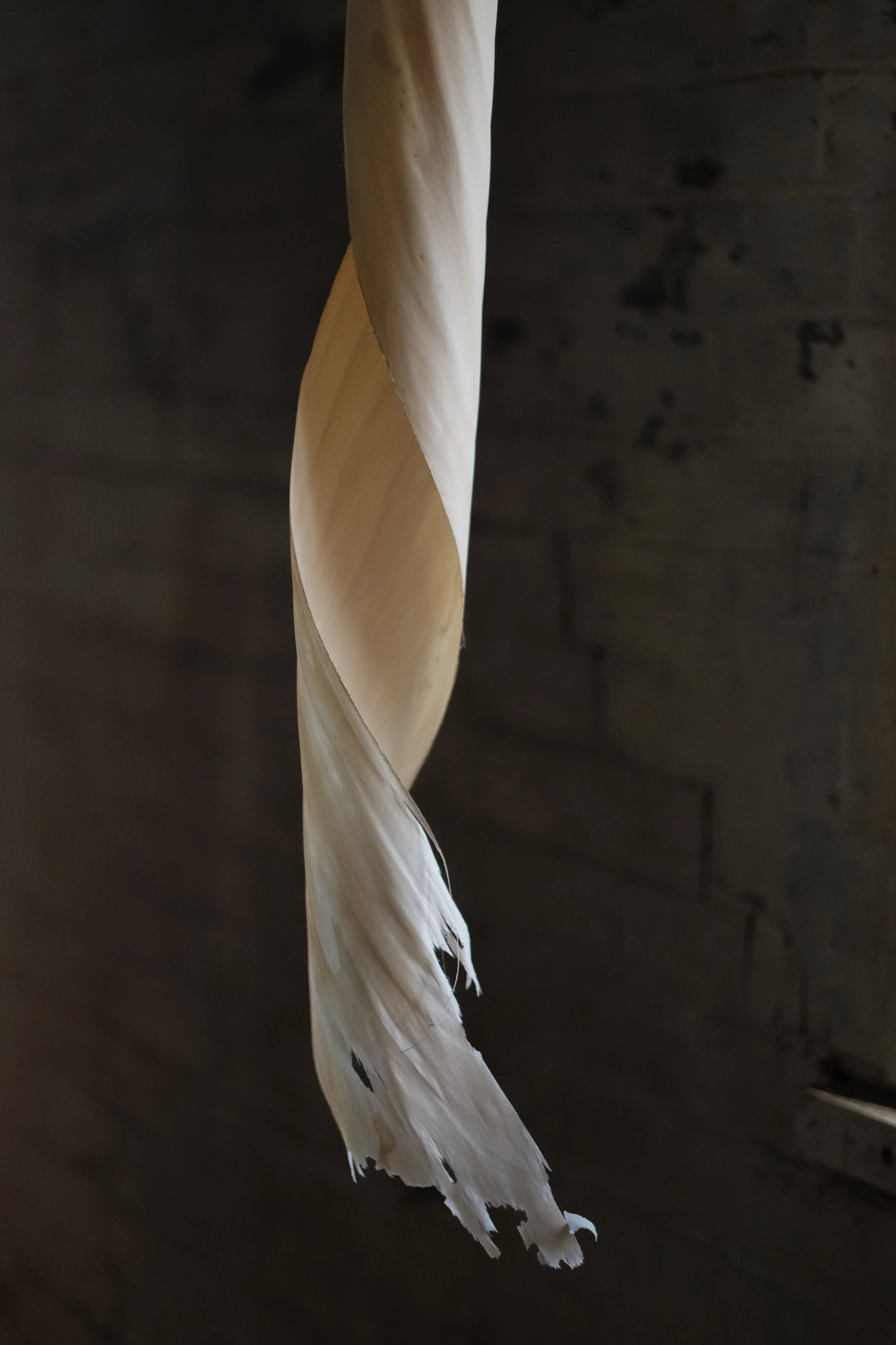 Chris Connolly-Taylor (2 of 34).jpg