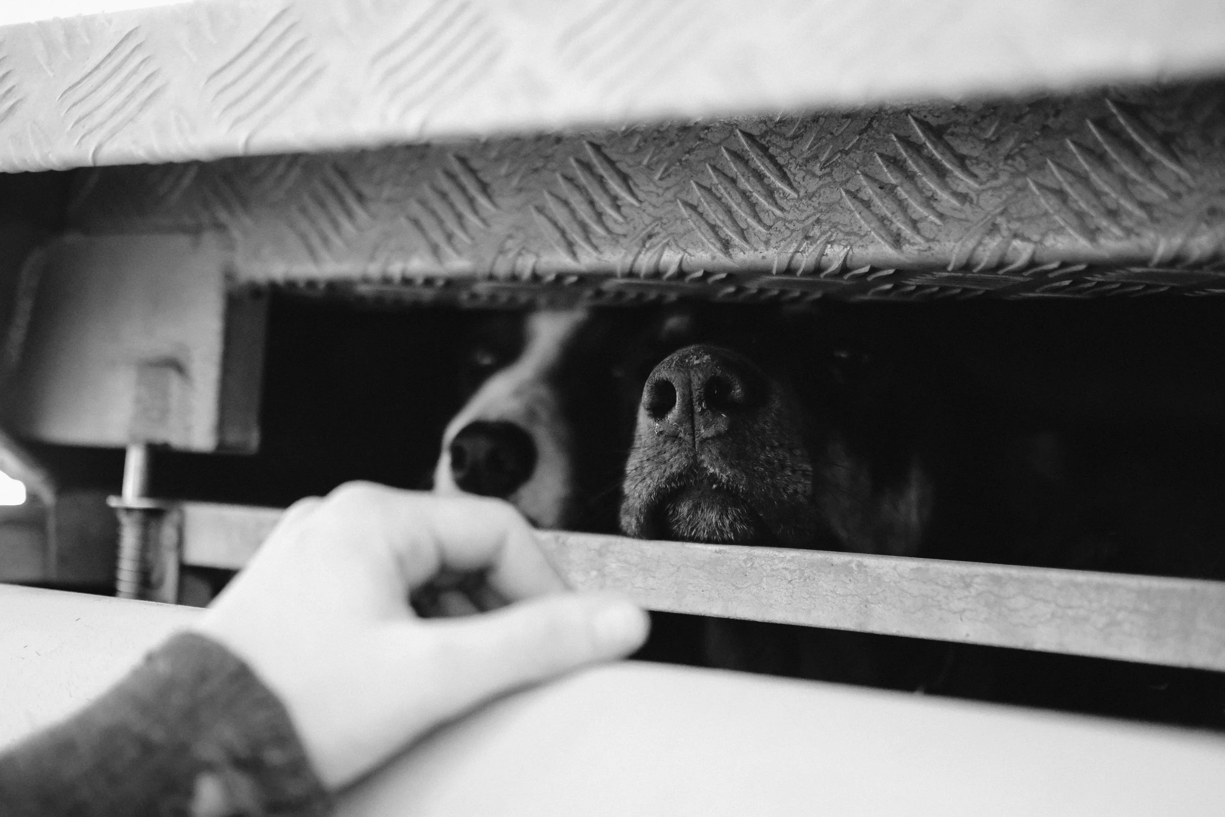 Hannah Vallence (2 of 136).jpg