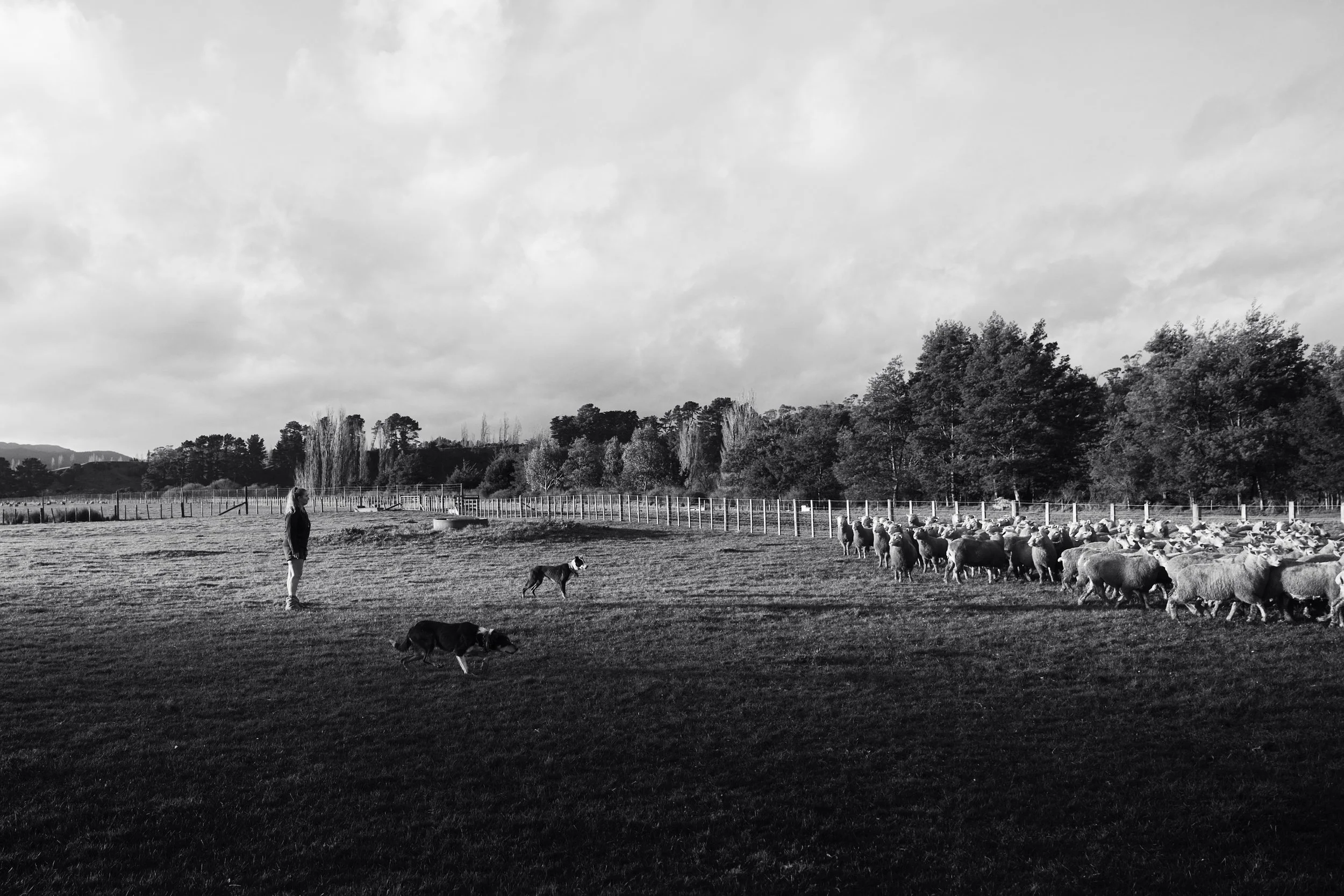 Hannah Vallence (115 of 136).jpg