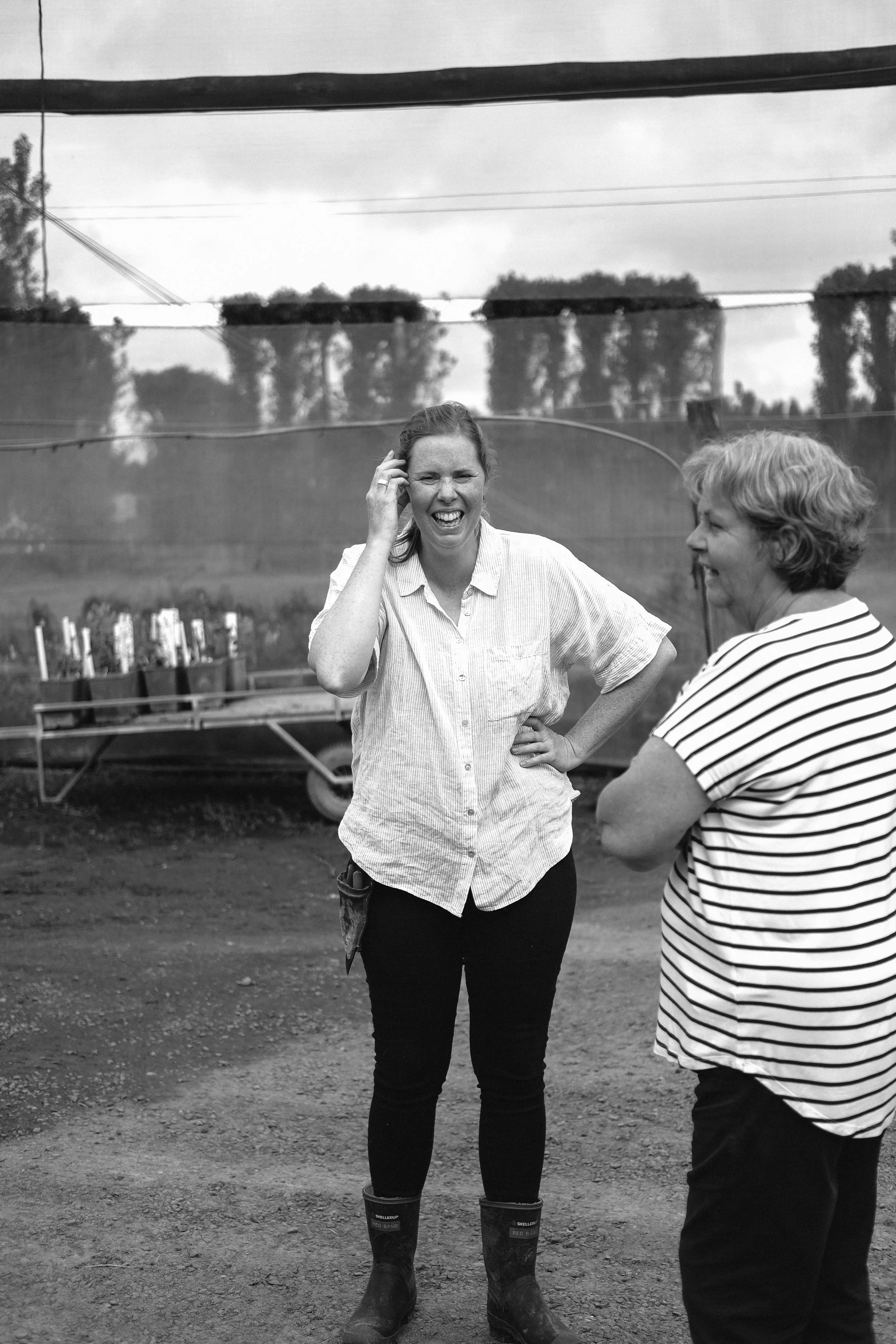 Matthews Roses (21 of 102).jpg