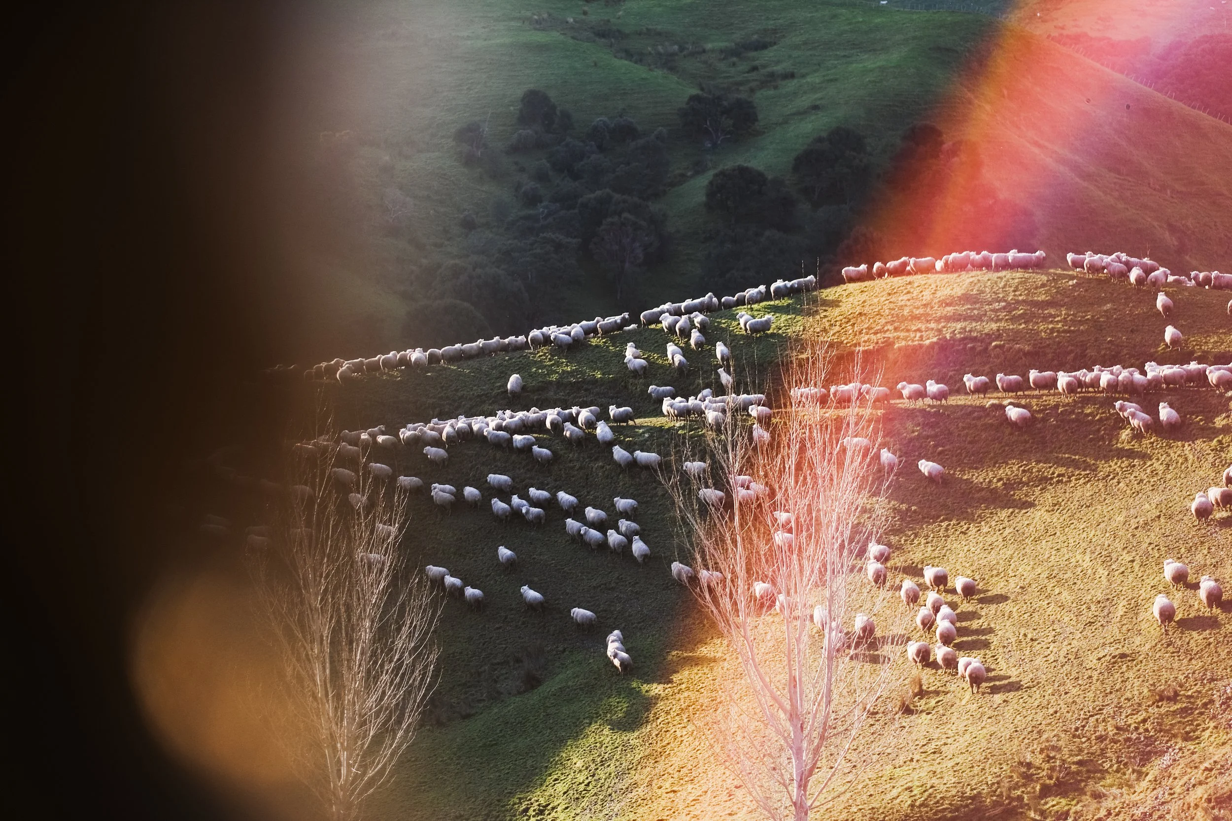 Hannah Vallence (100 of 136).jpg