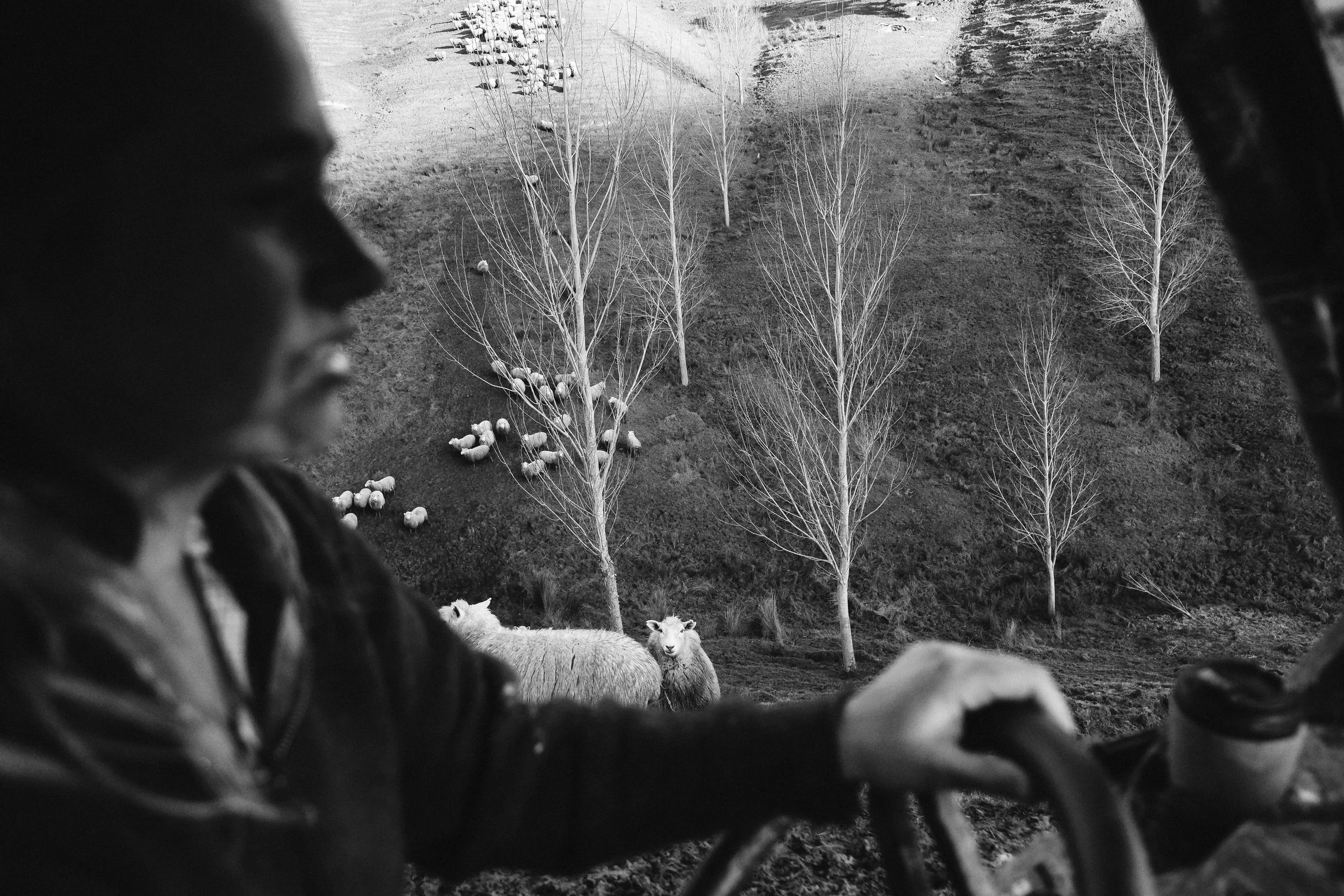 Hannah Vallence (104 of 136).jpg