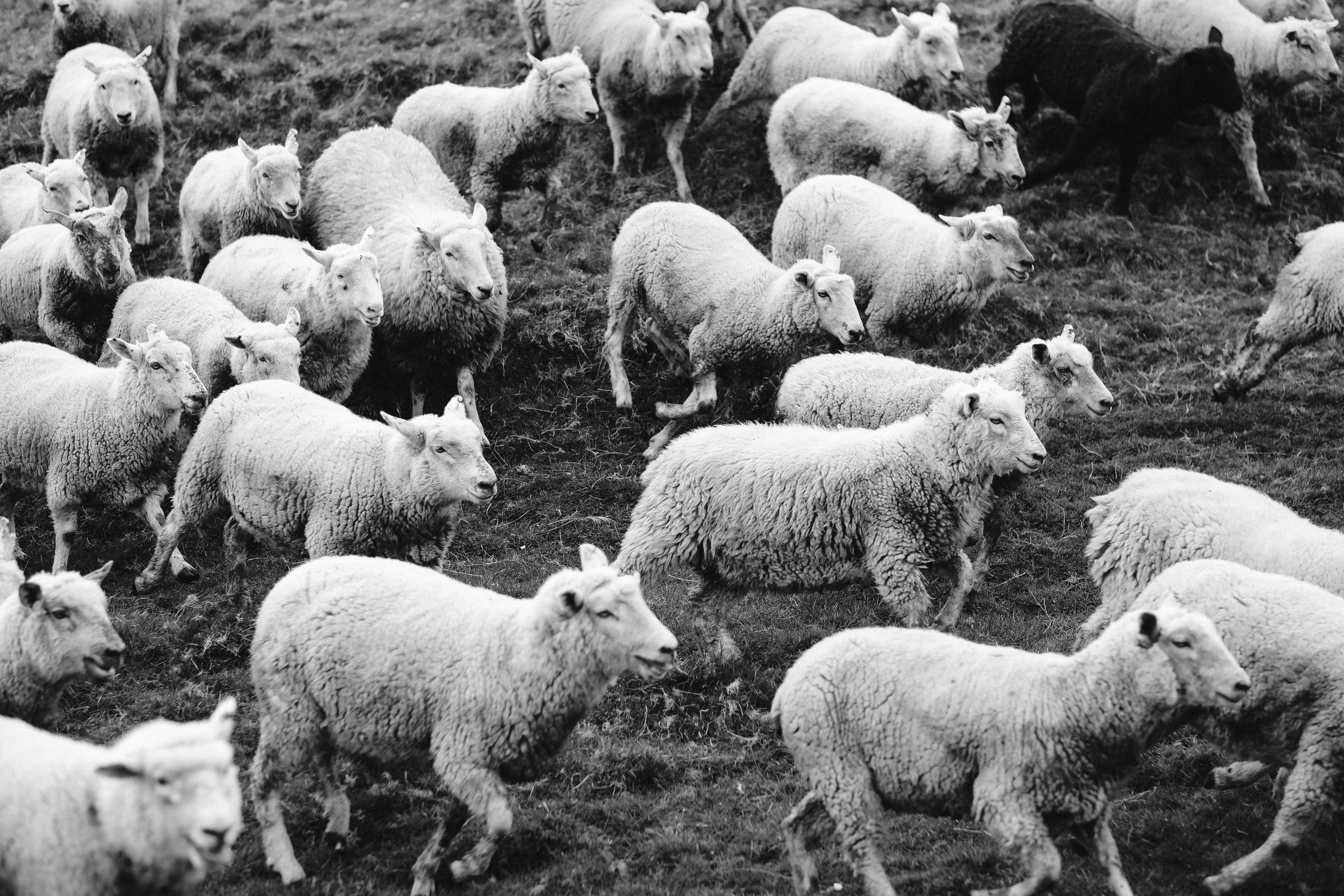 Izzie Corke (91 of 138).jpg