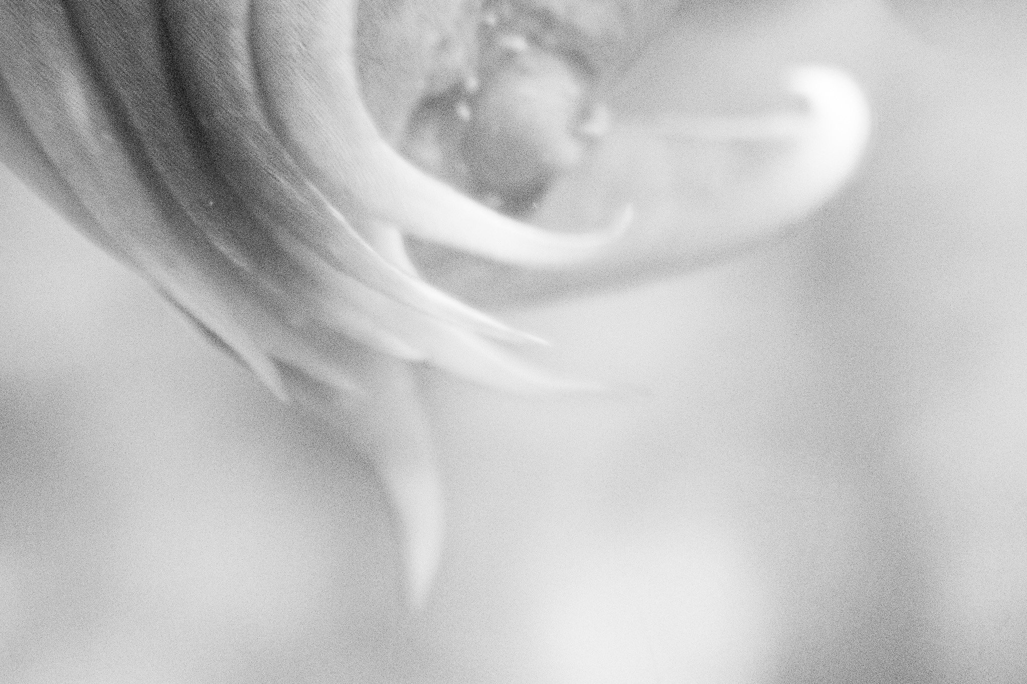 DSC00108.jpg