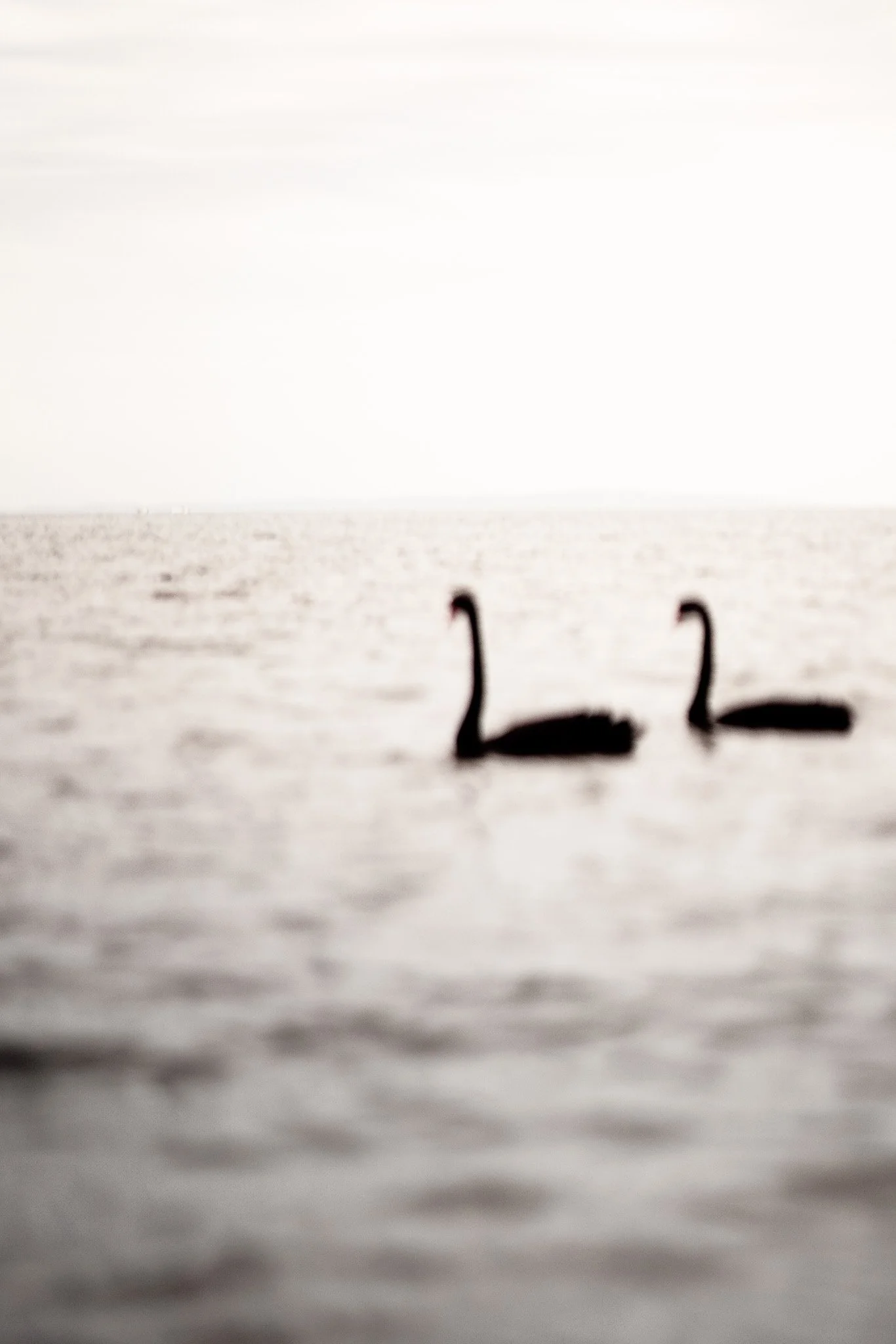 Fragments, 2024–2025