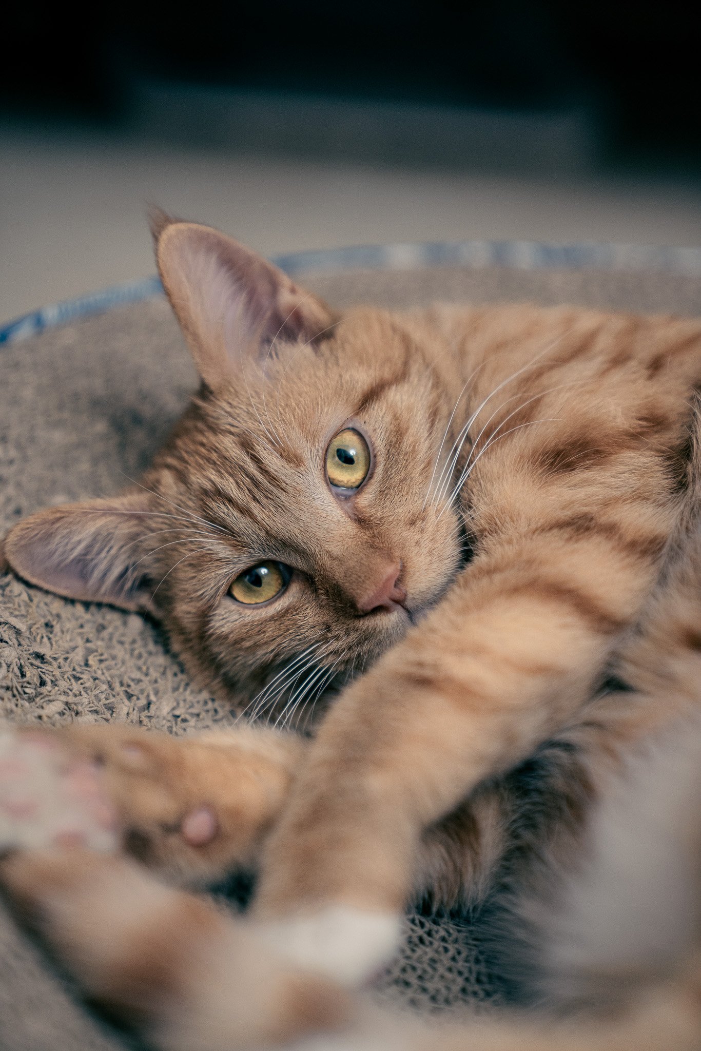 Fragments, 2021–2023